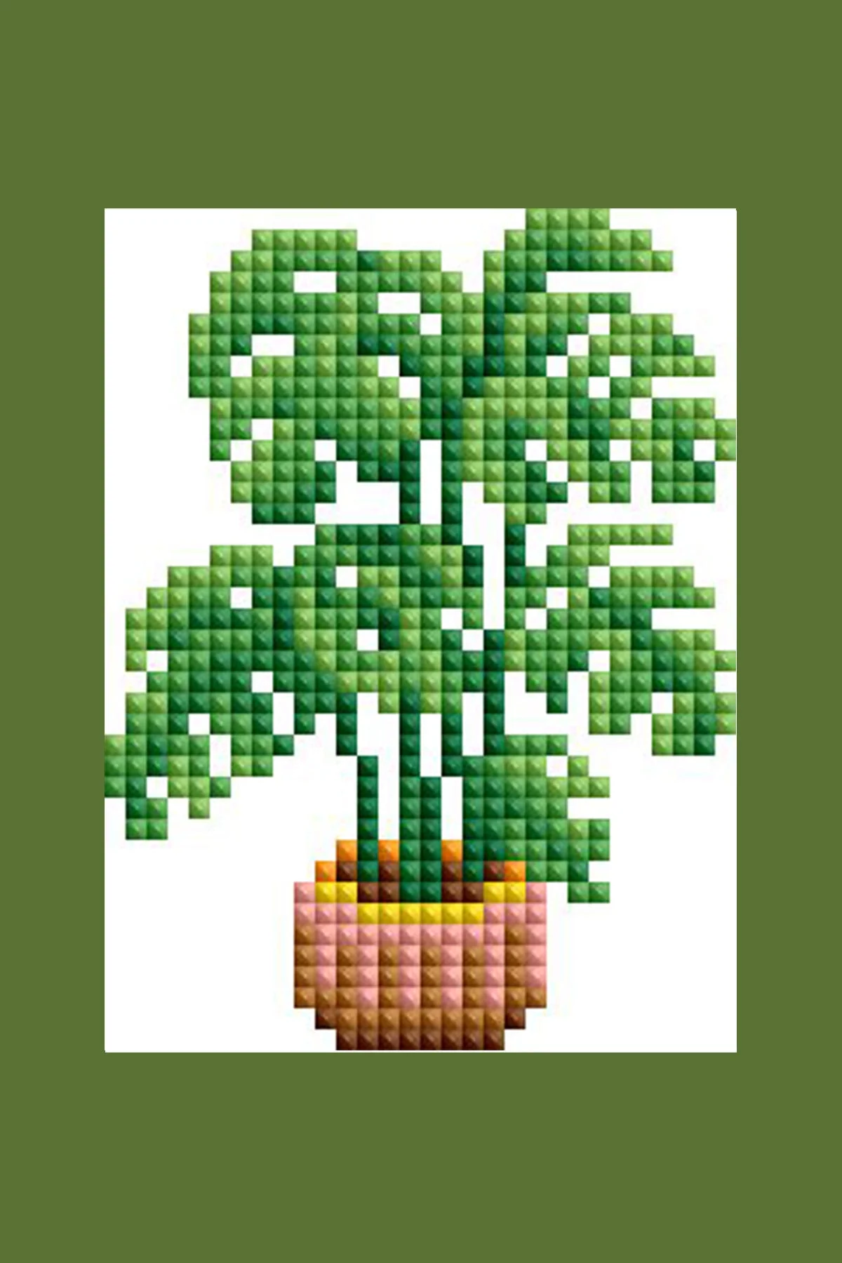 2078-mini-dazzles-house-plants-1.webp