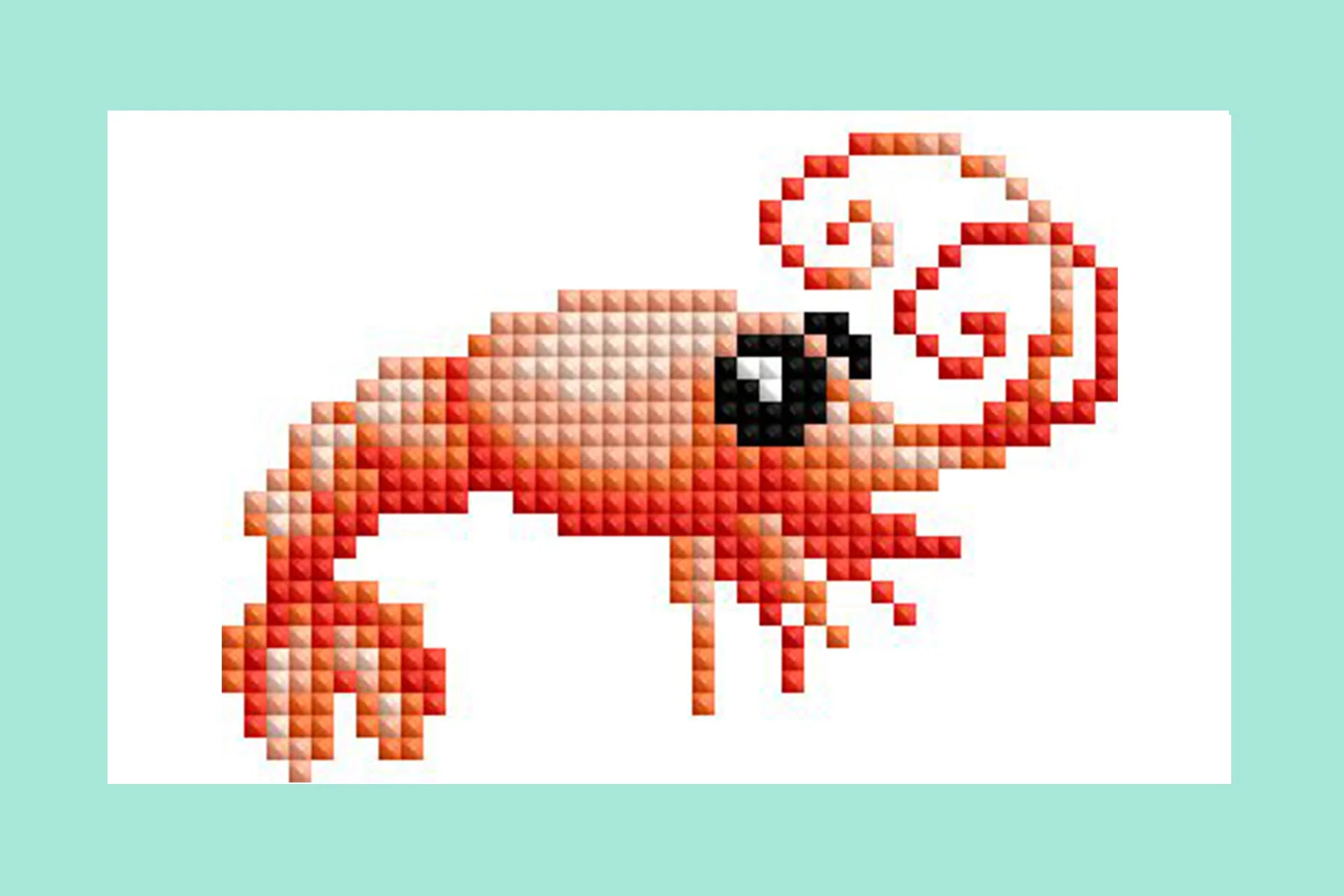 2090-mini-dazzles-sea-creatures-1.webp