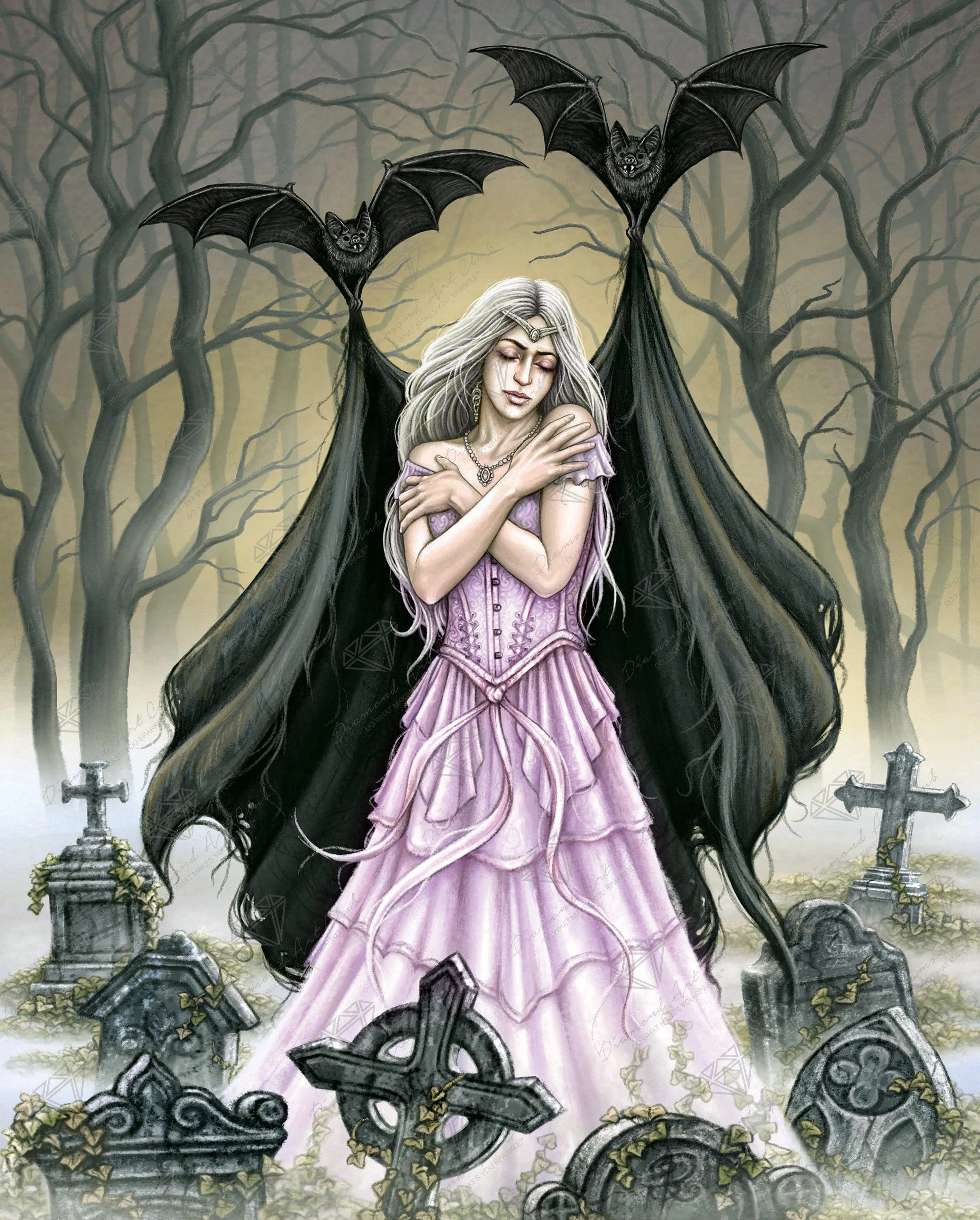 Night's Embrace