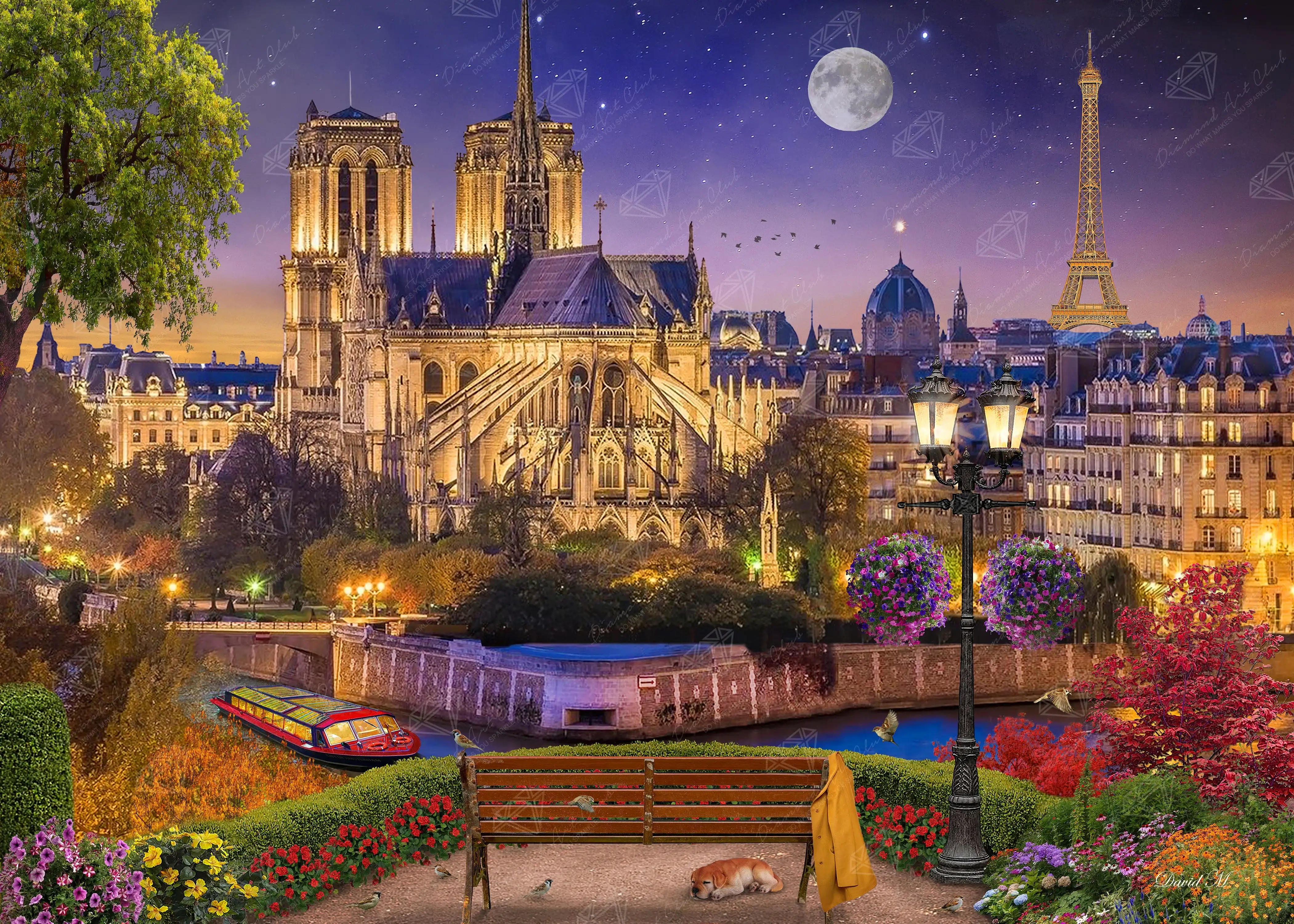 Notre Dame Night 1 2339-notre-dame-night-1.webp