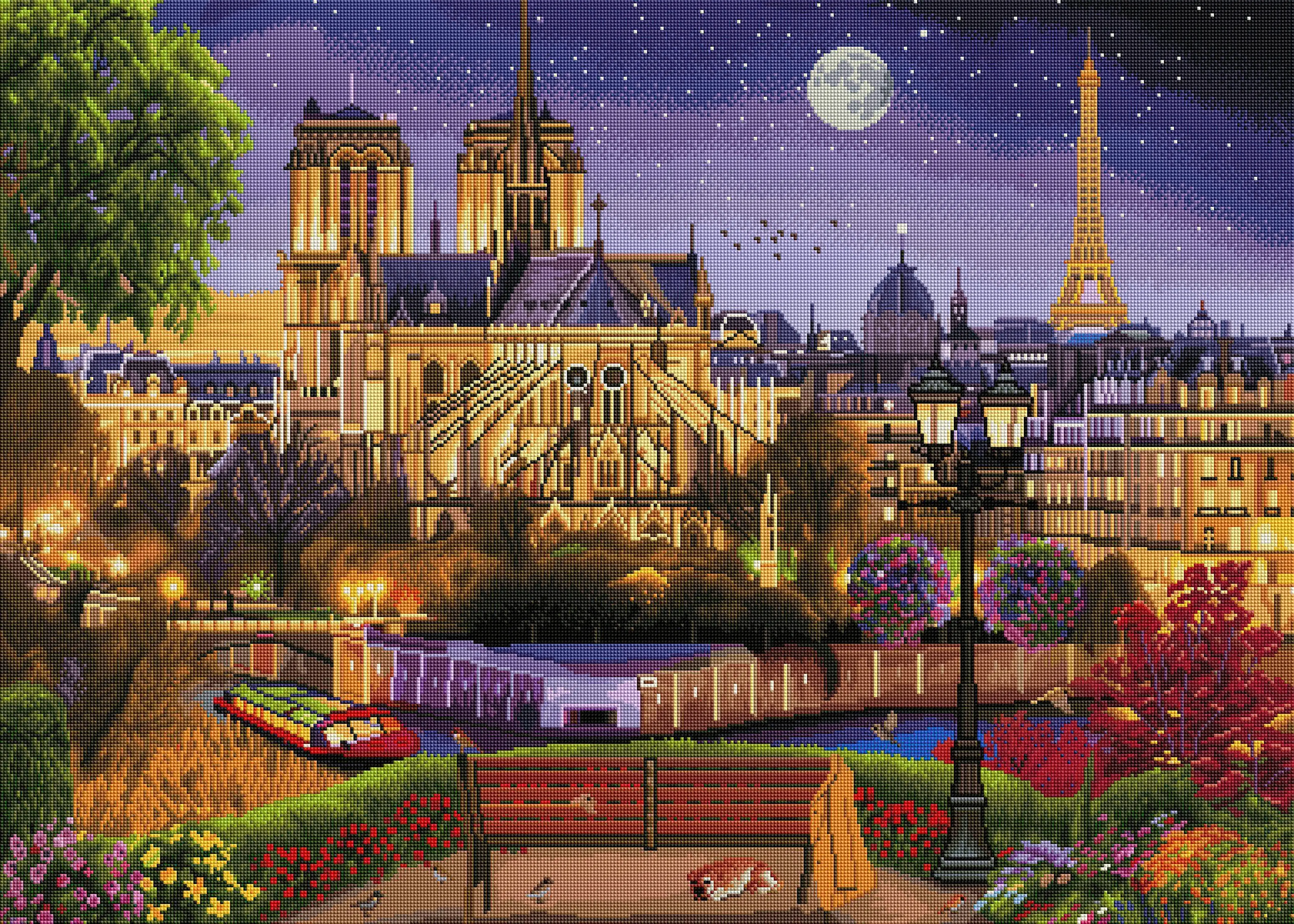 2339-notre-dame-night-1.webp