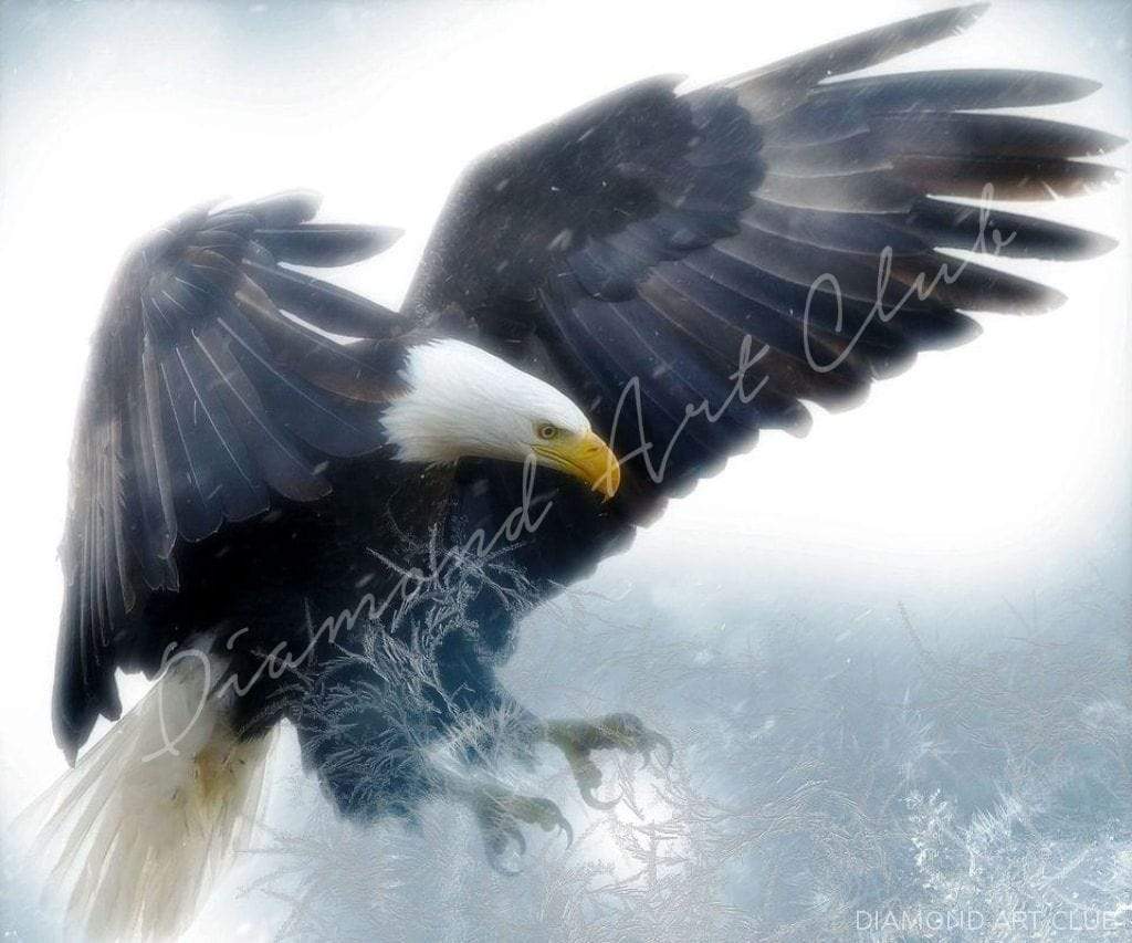 Arctic Eagle Chill