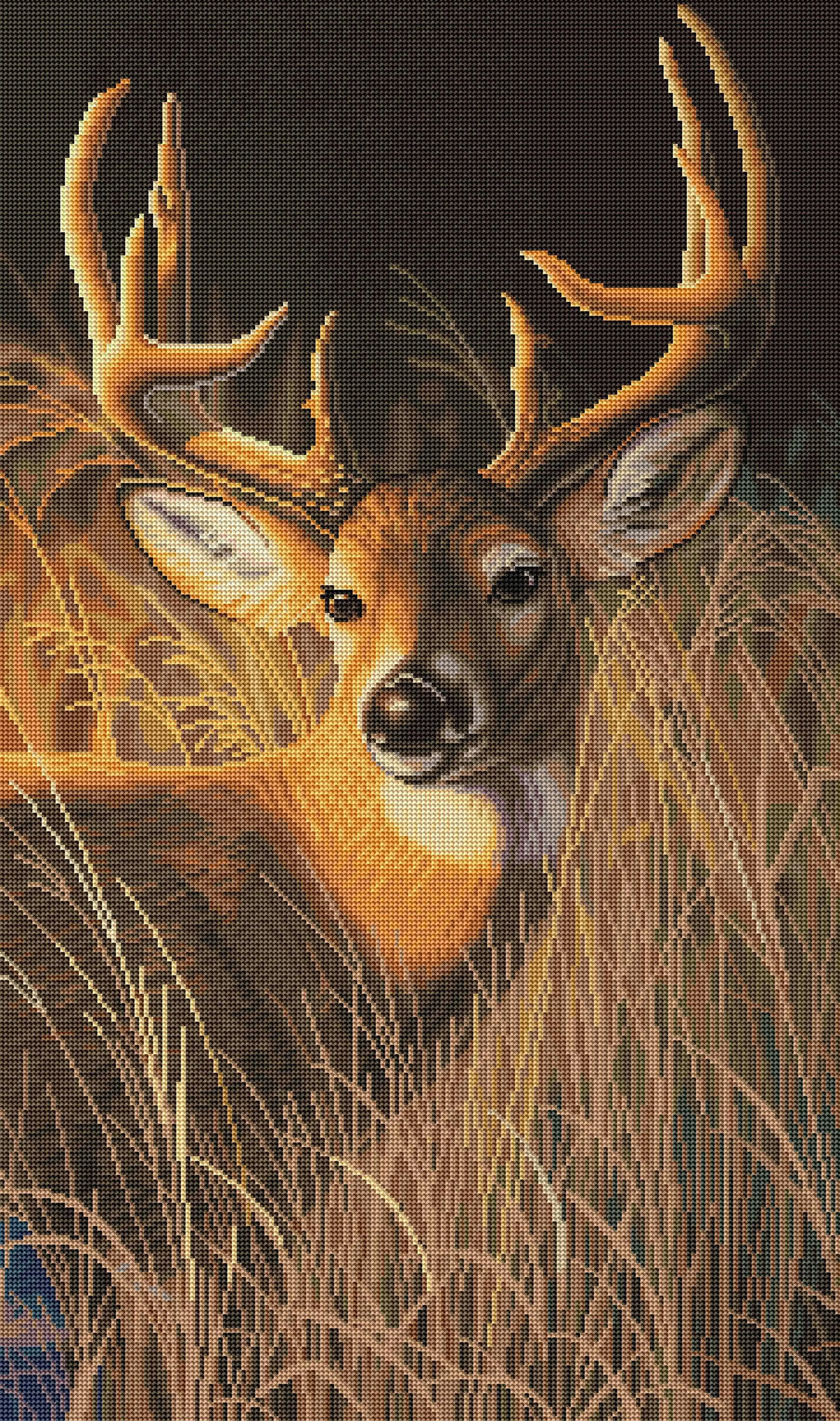 2345-oak-island-whitetail-3.jpg