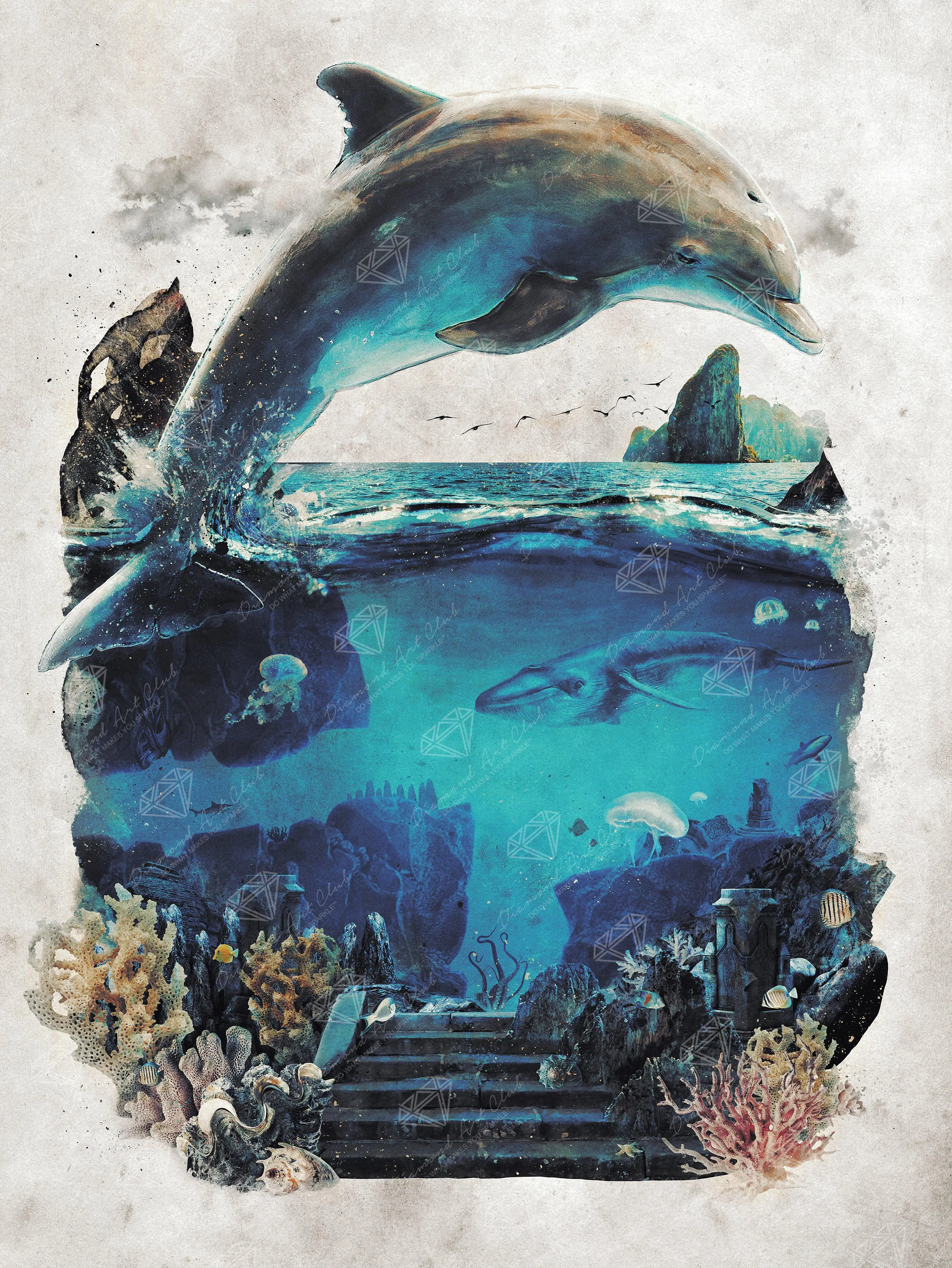 Ocean Dolphin