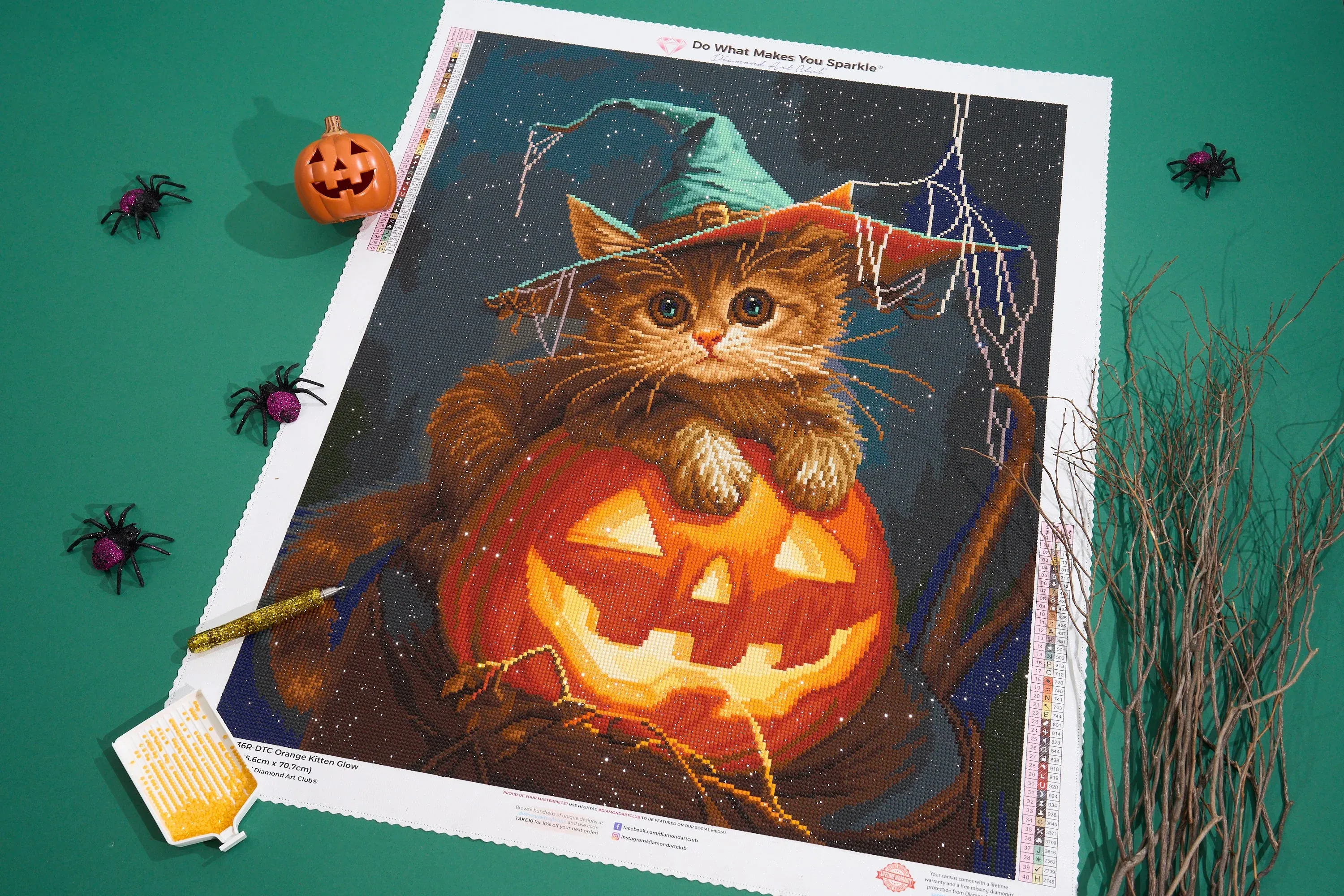 2390-orange-kitten-glow-1.webp