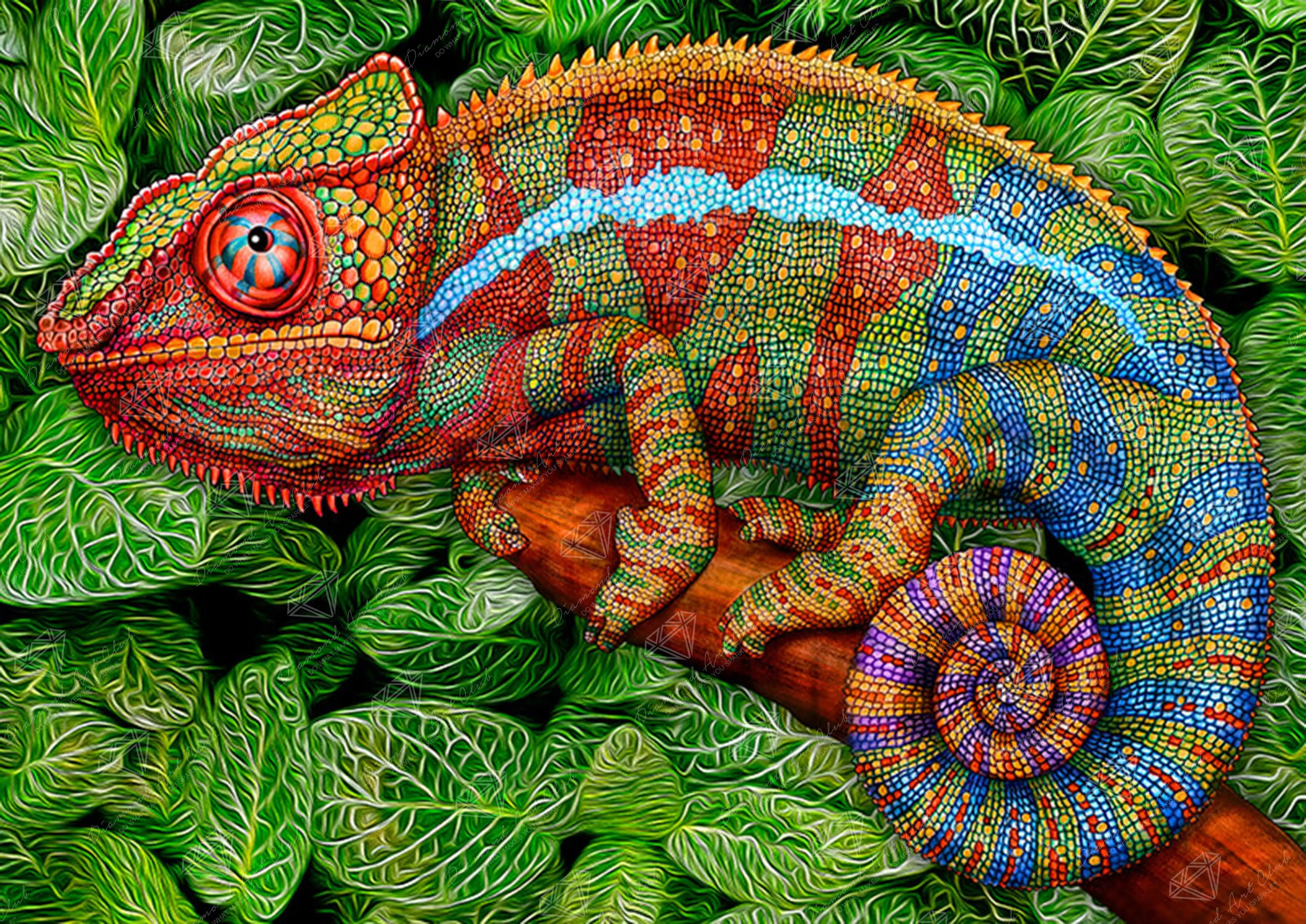 Panther Chameleon