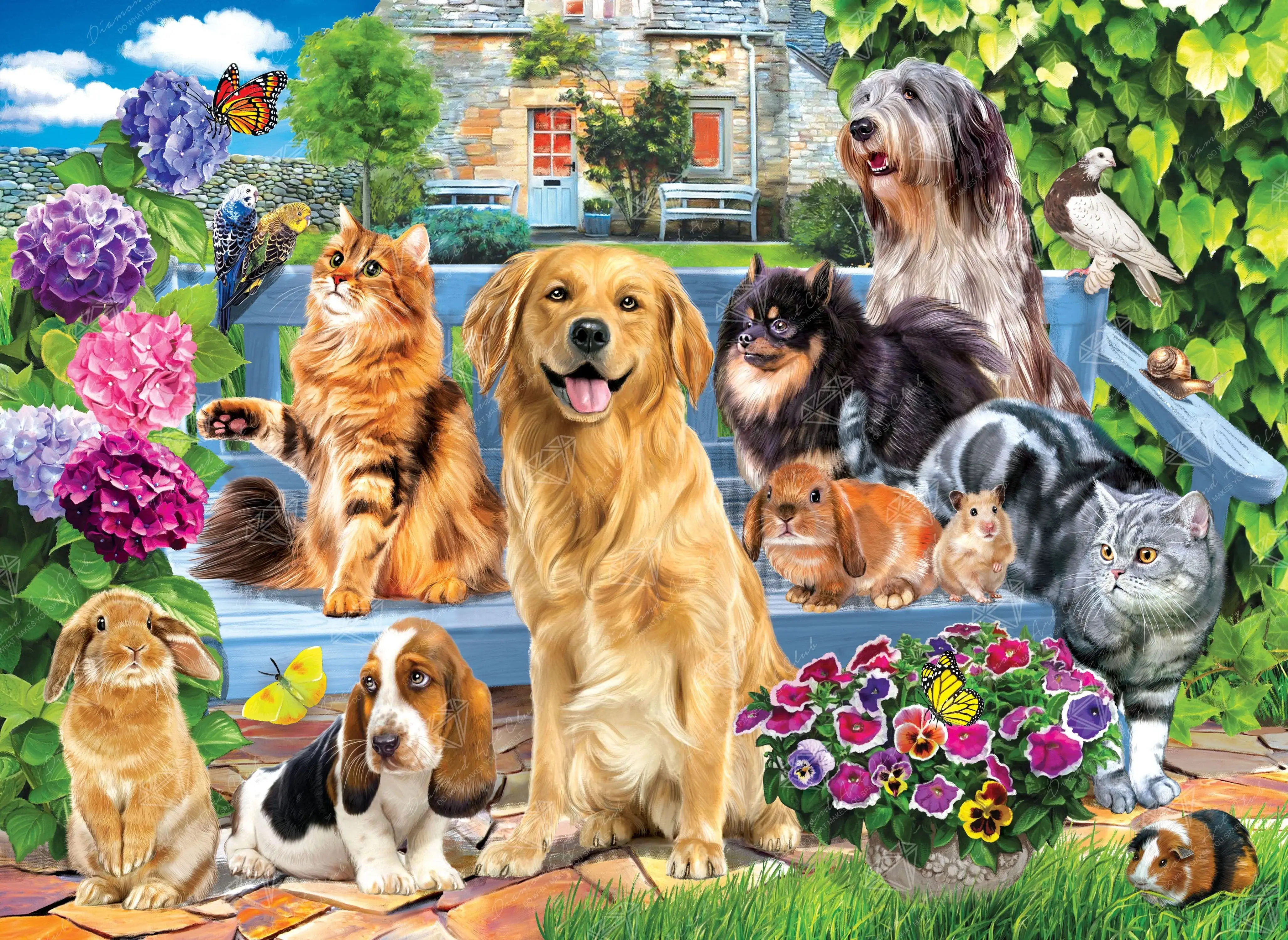 Pets
