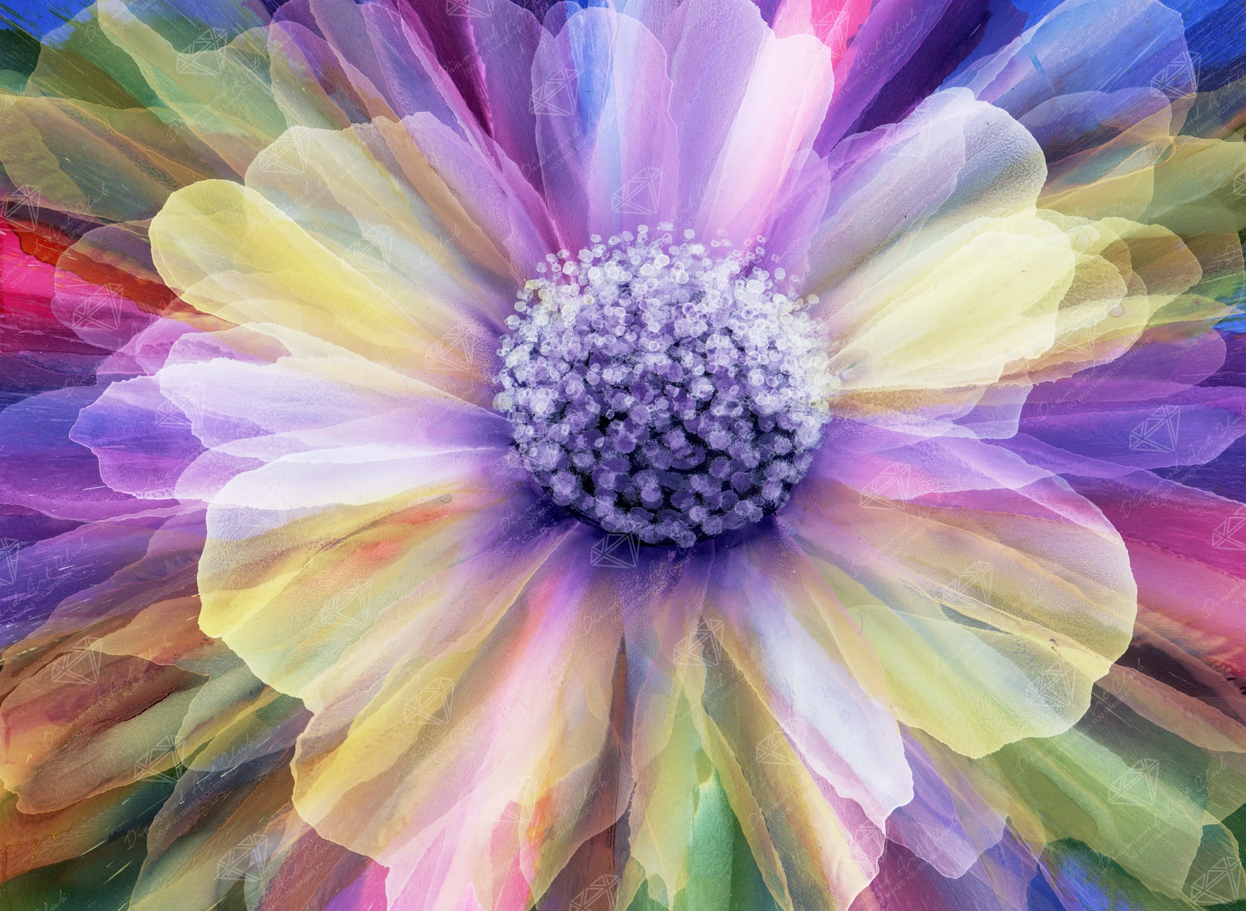 Popping with Color 1 2526-popping-with-color-1.webp