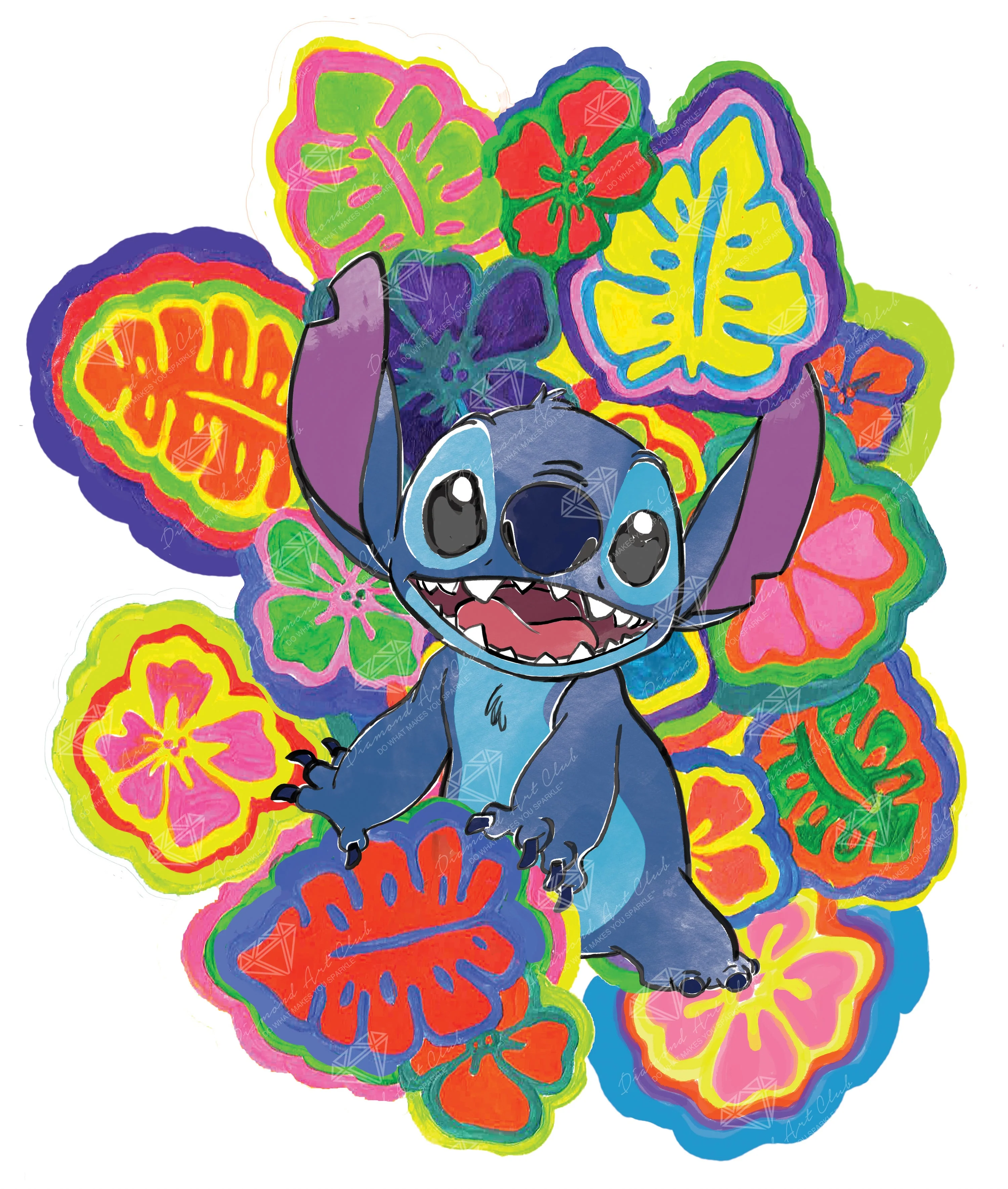 2572-psychedelic-stitch–1.webp