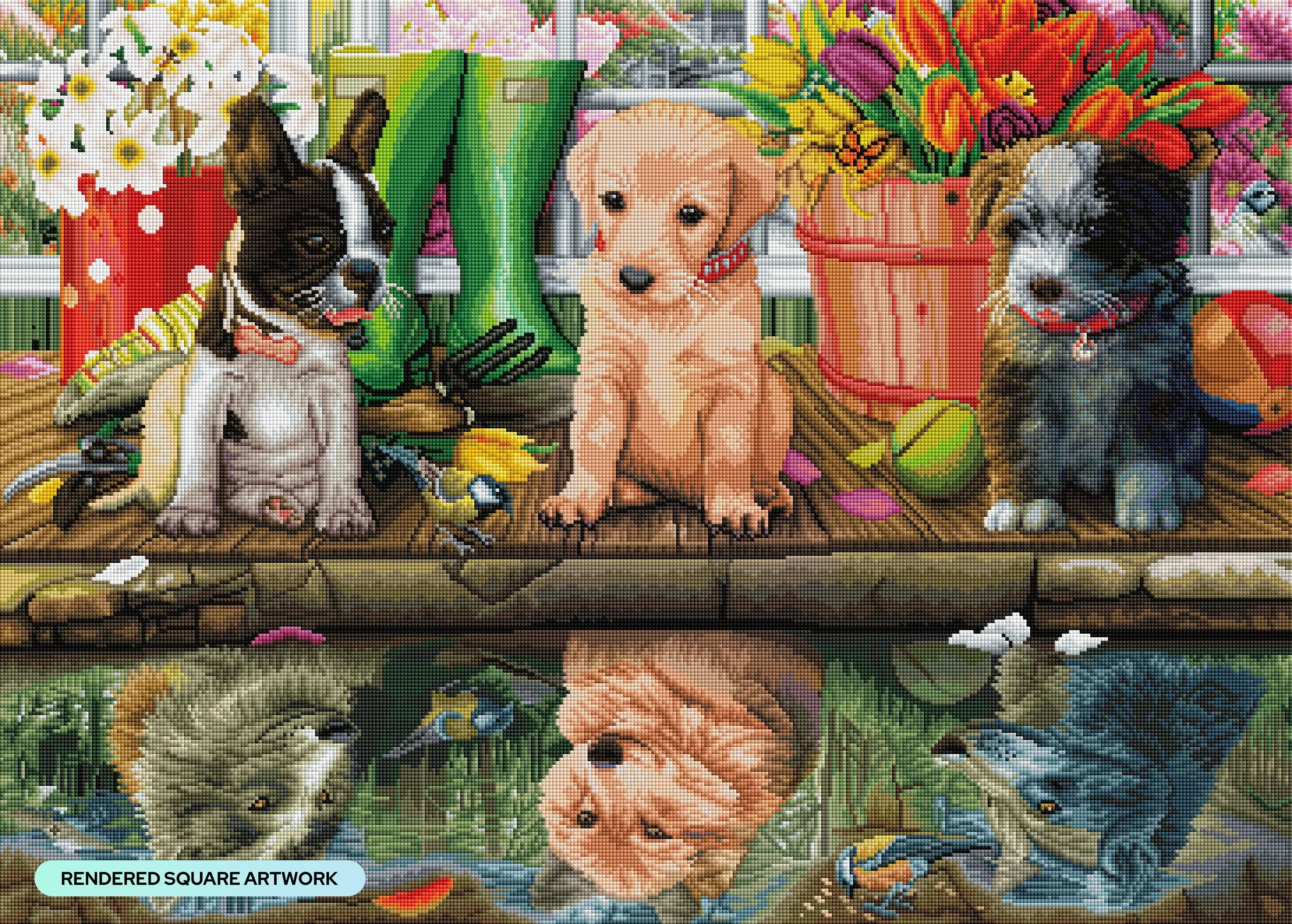 2586-puppies-reflection-1.webp