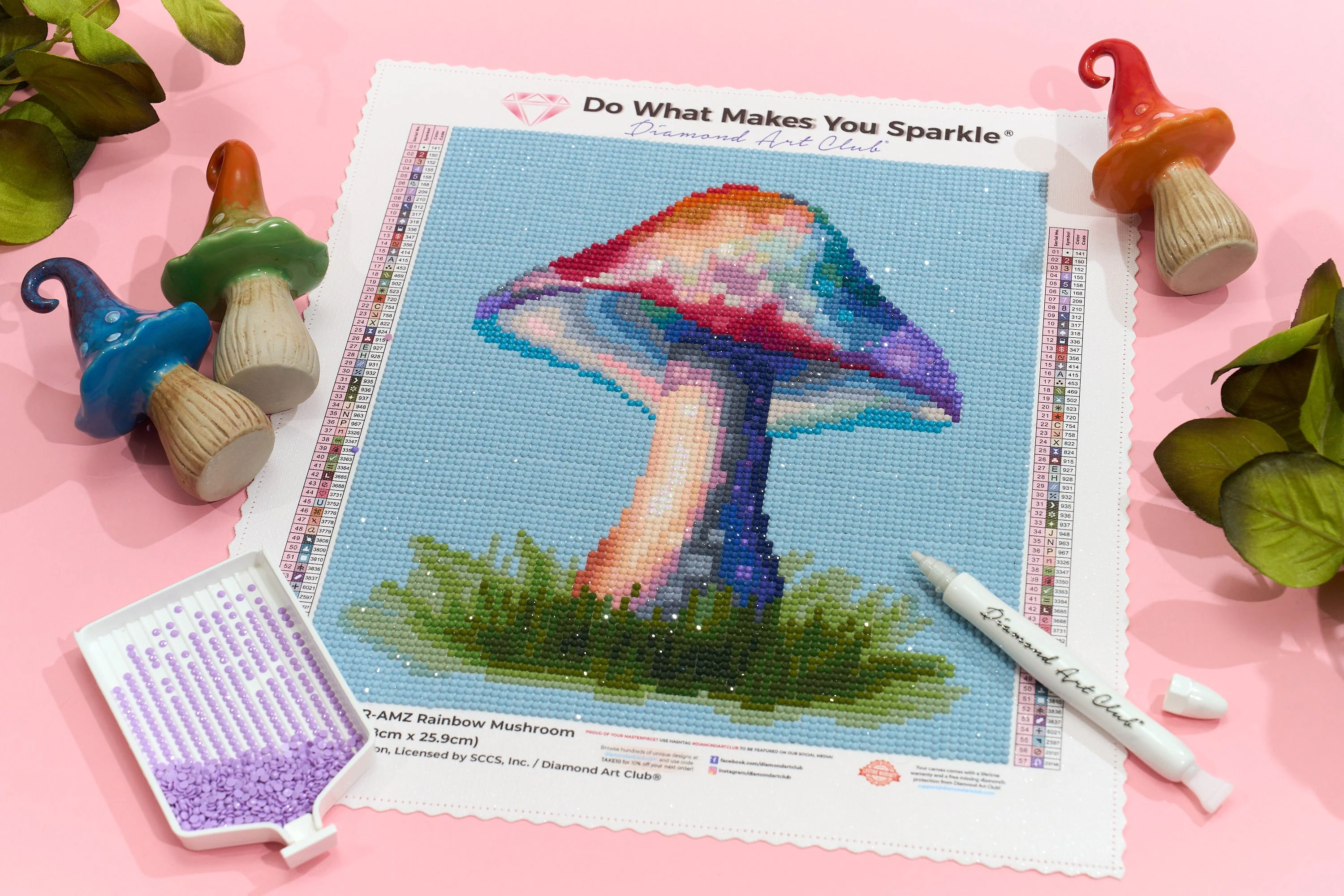 2624-rainbow-mushroom-1.webp