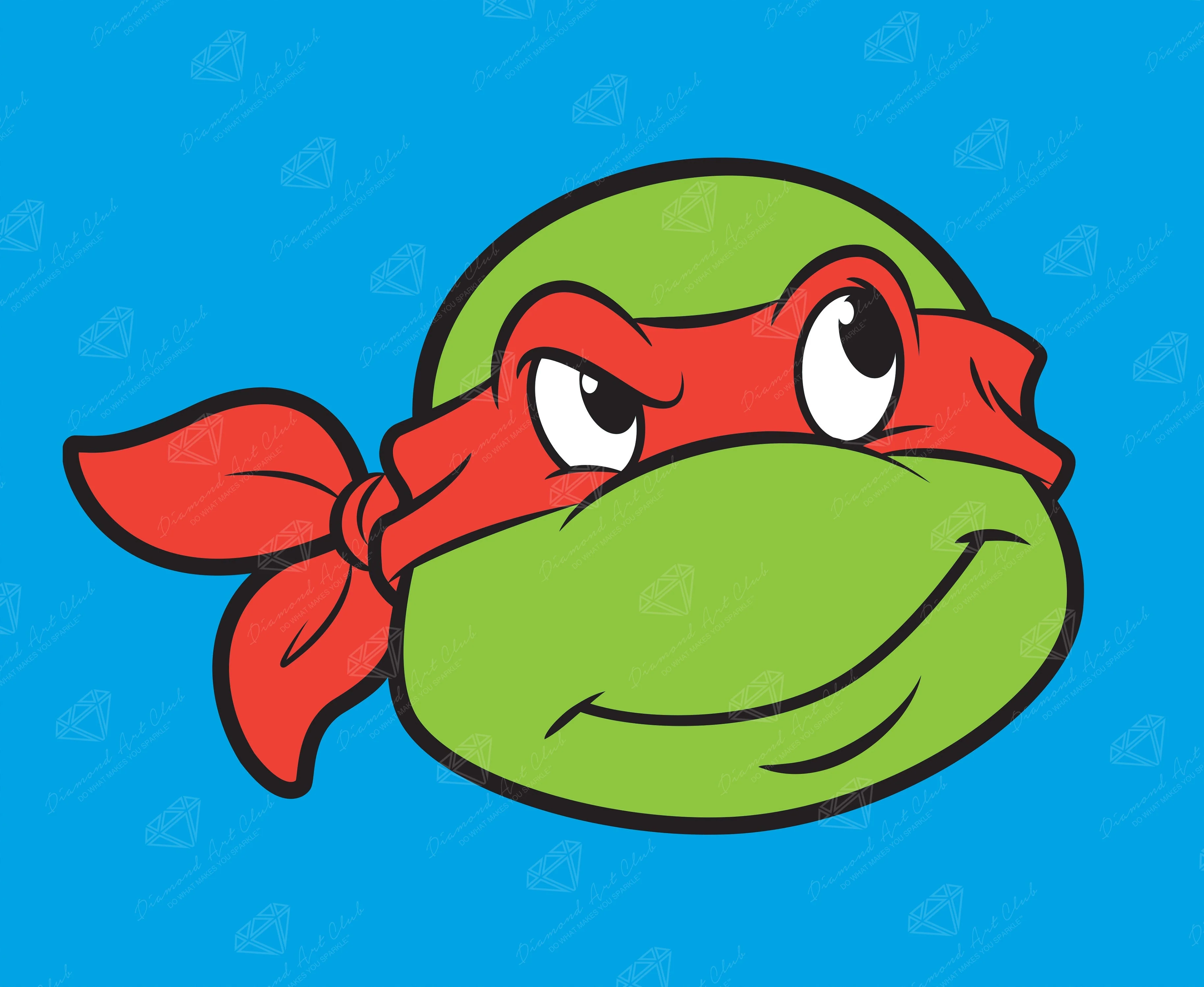 2638-raph-1.webp