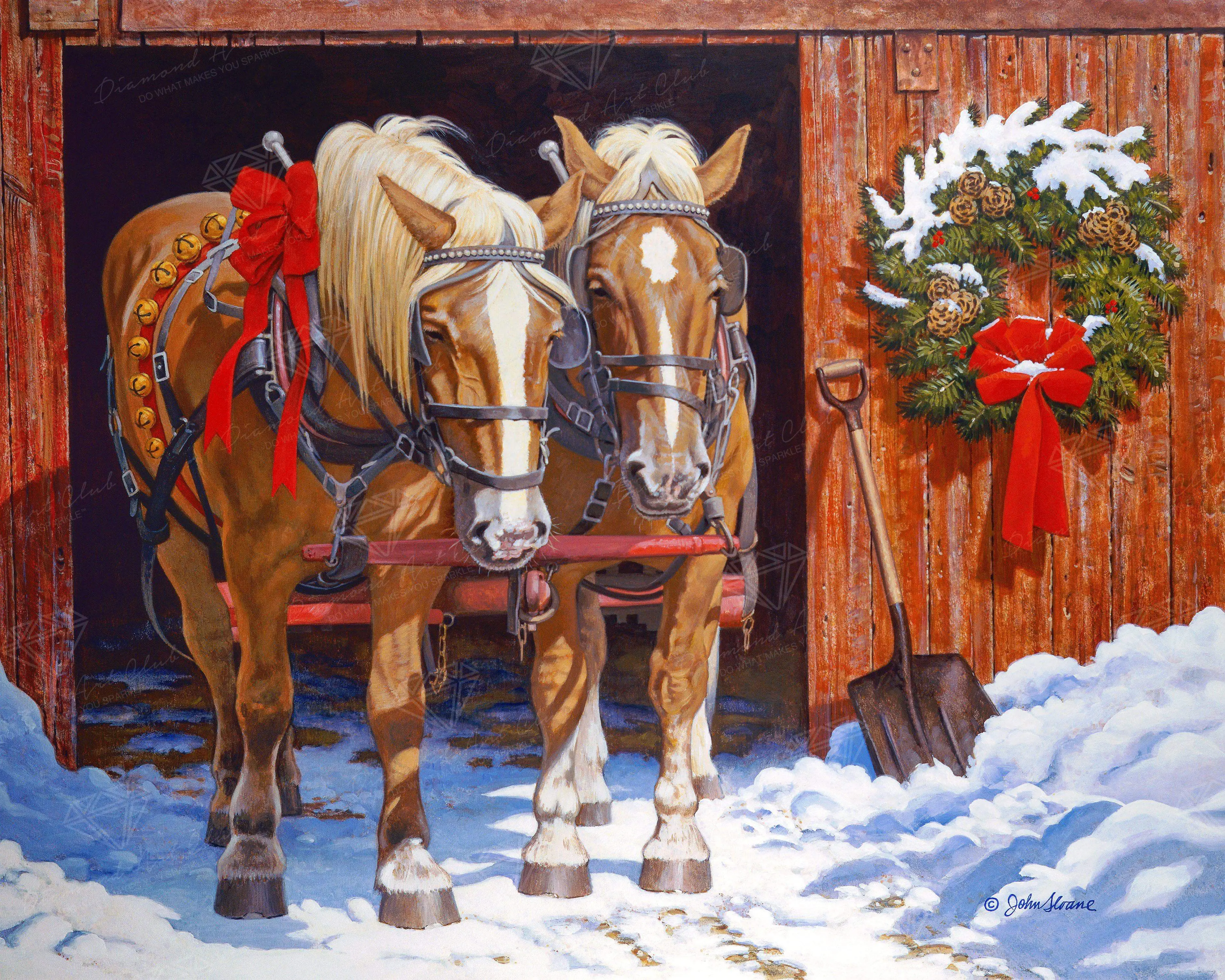 2648-ready-for-the-ride-1.webp