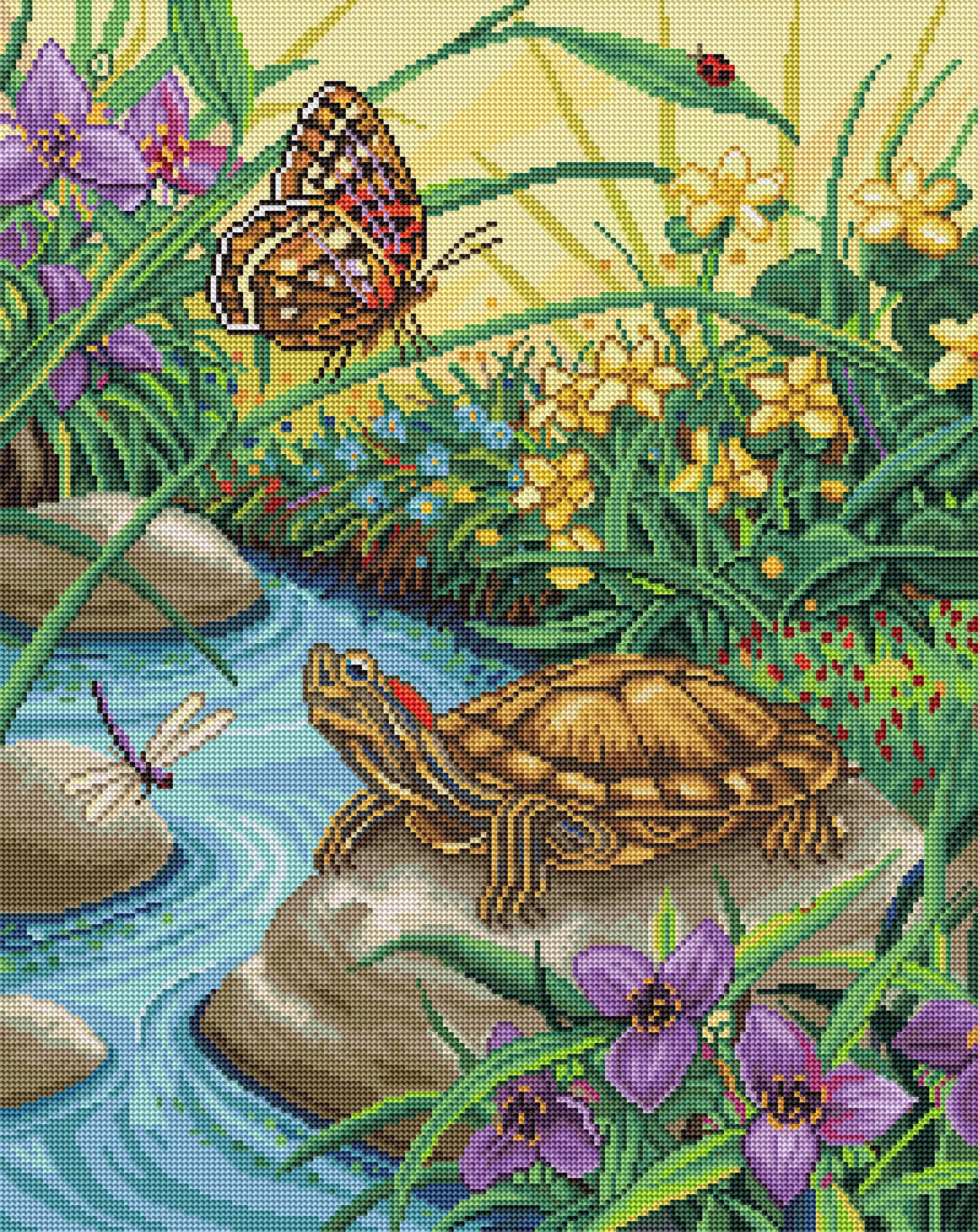 2657-red-eared-slider-1.webp