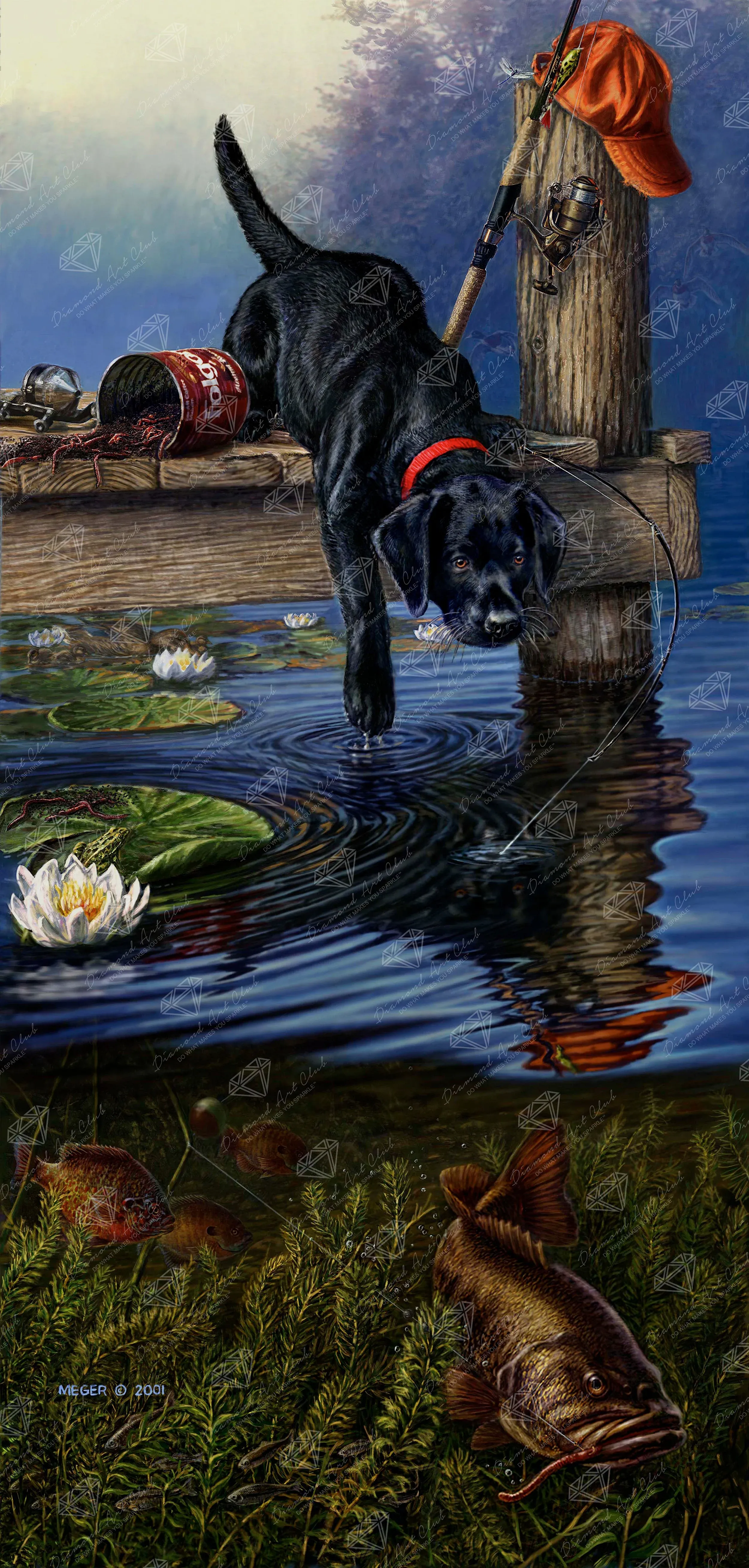 Ripples