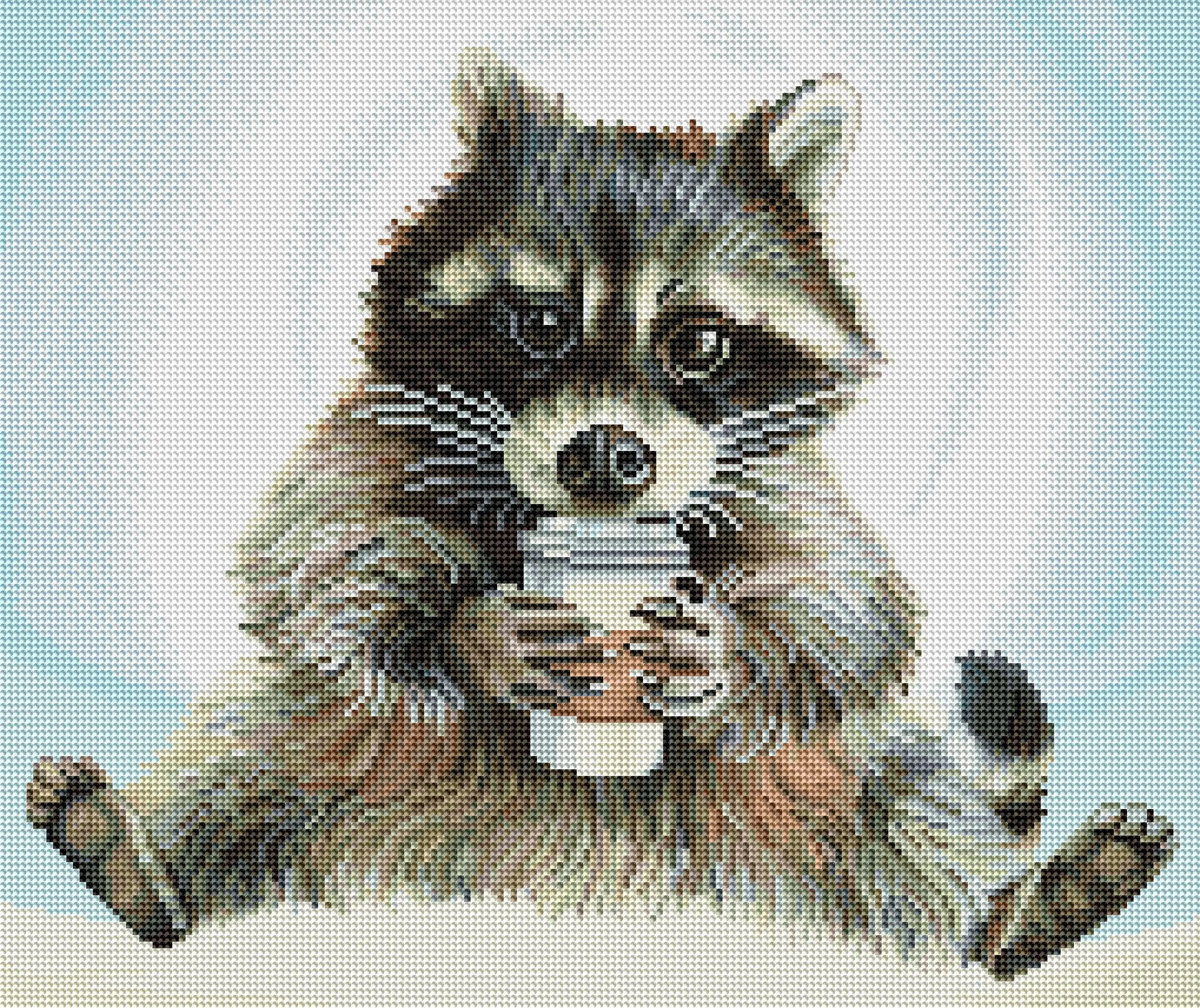 2696-rocket-fuel-1.webp