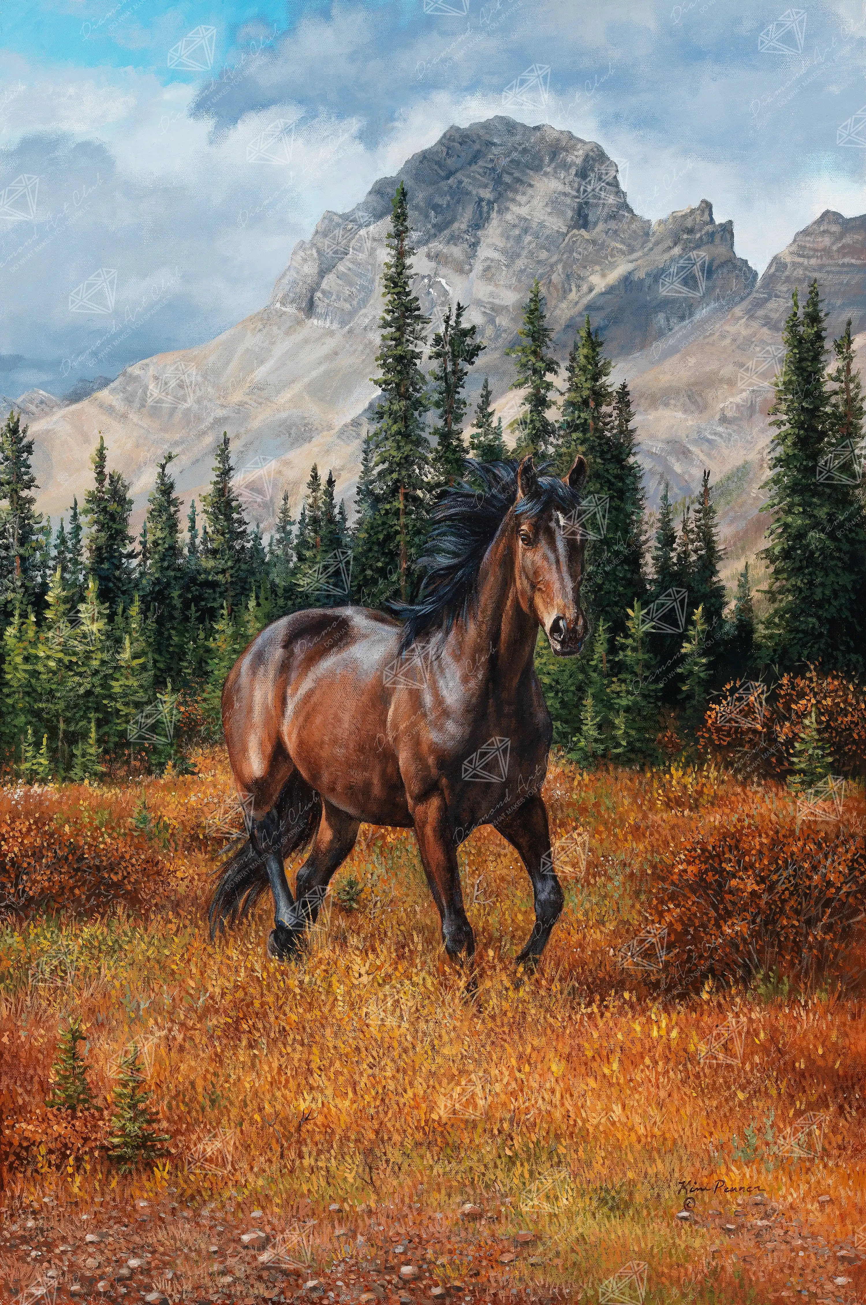 Rocky Mountain Freedom 1 2698-rocky-mountain-freedom-1.webp