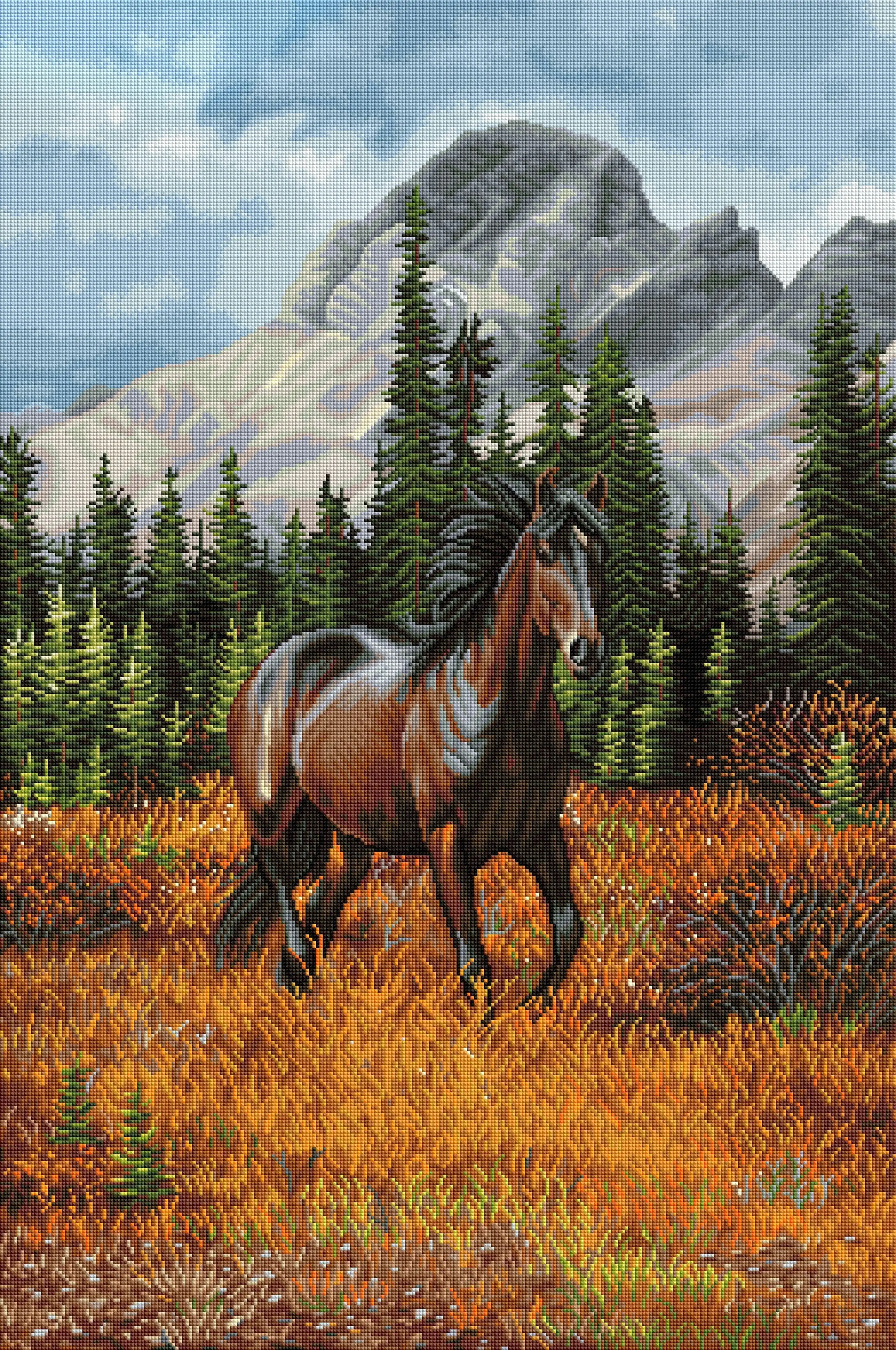 2698-rocky-mountain-freedom-1.webp