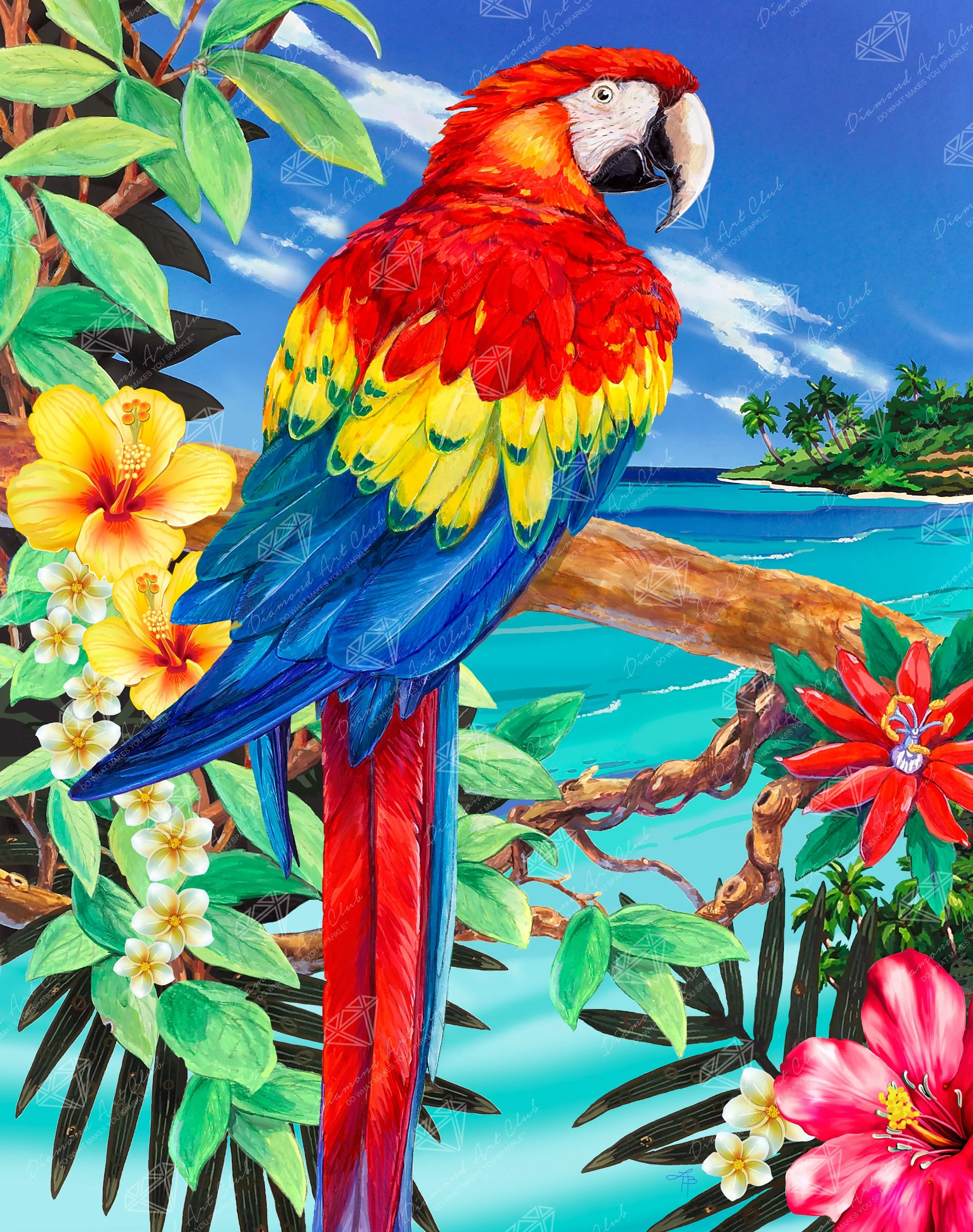 2754-scarlet-macaw-1.webp