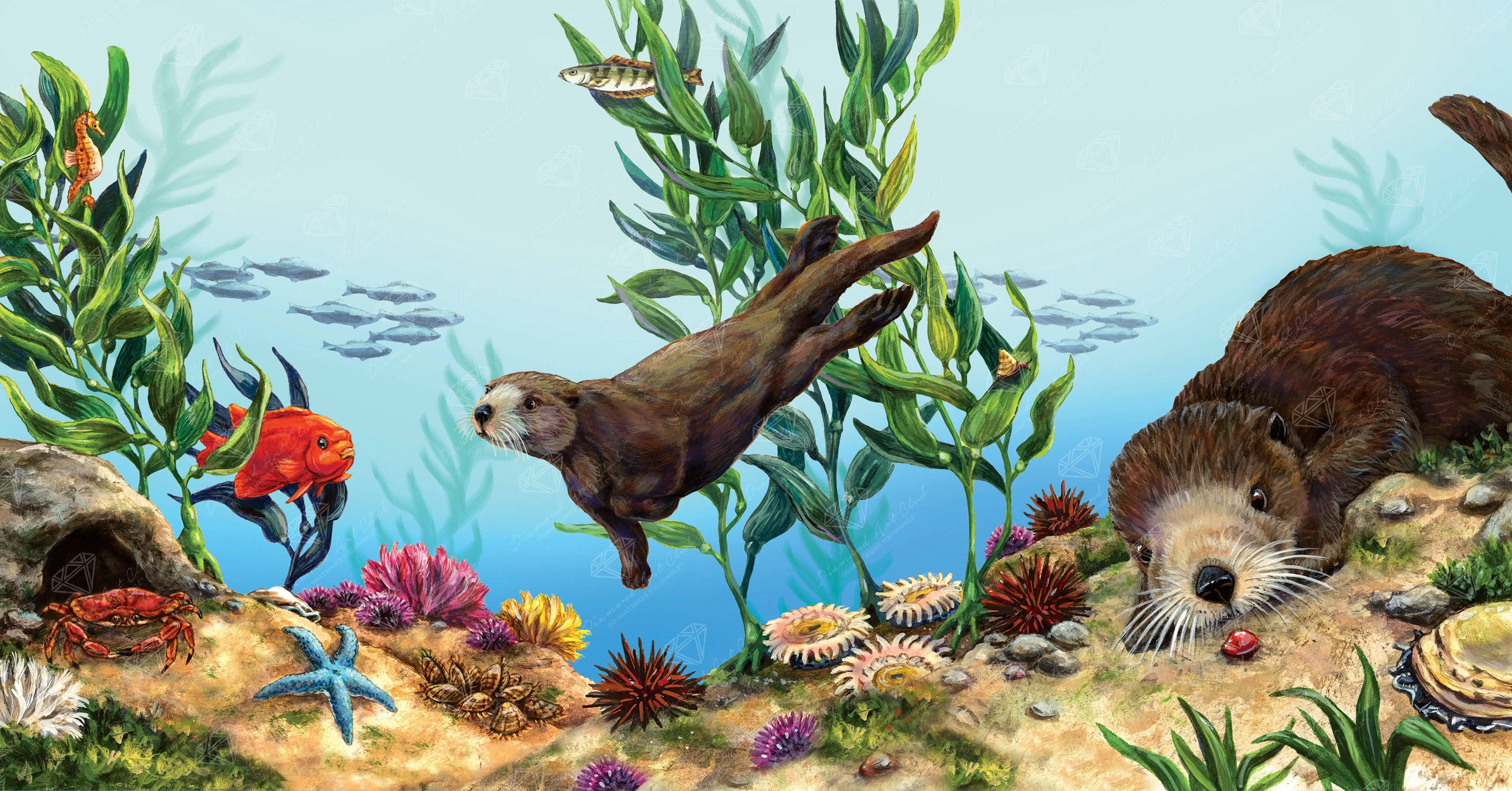 2776-sea-otters-1.webp