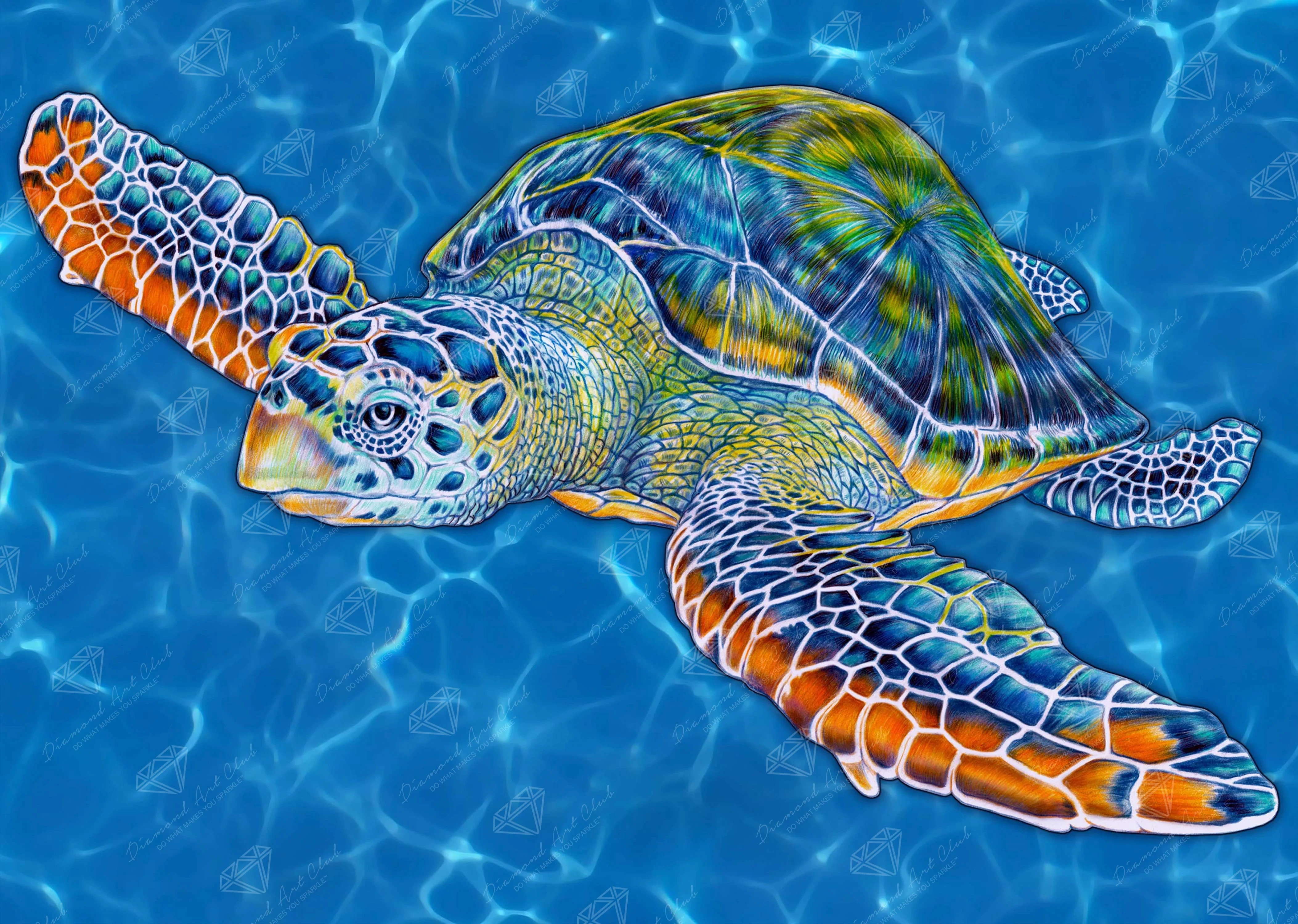 Sea Turtle