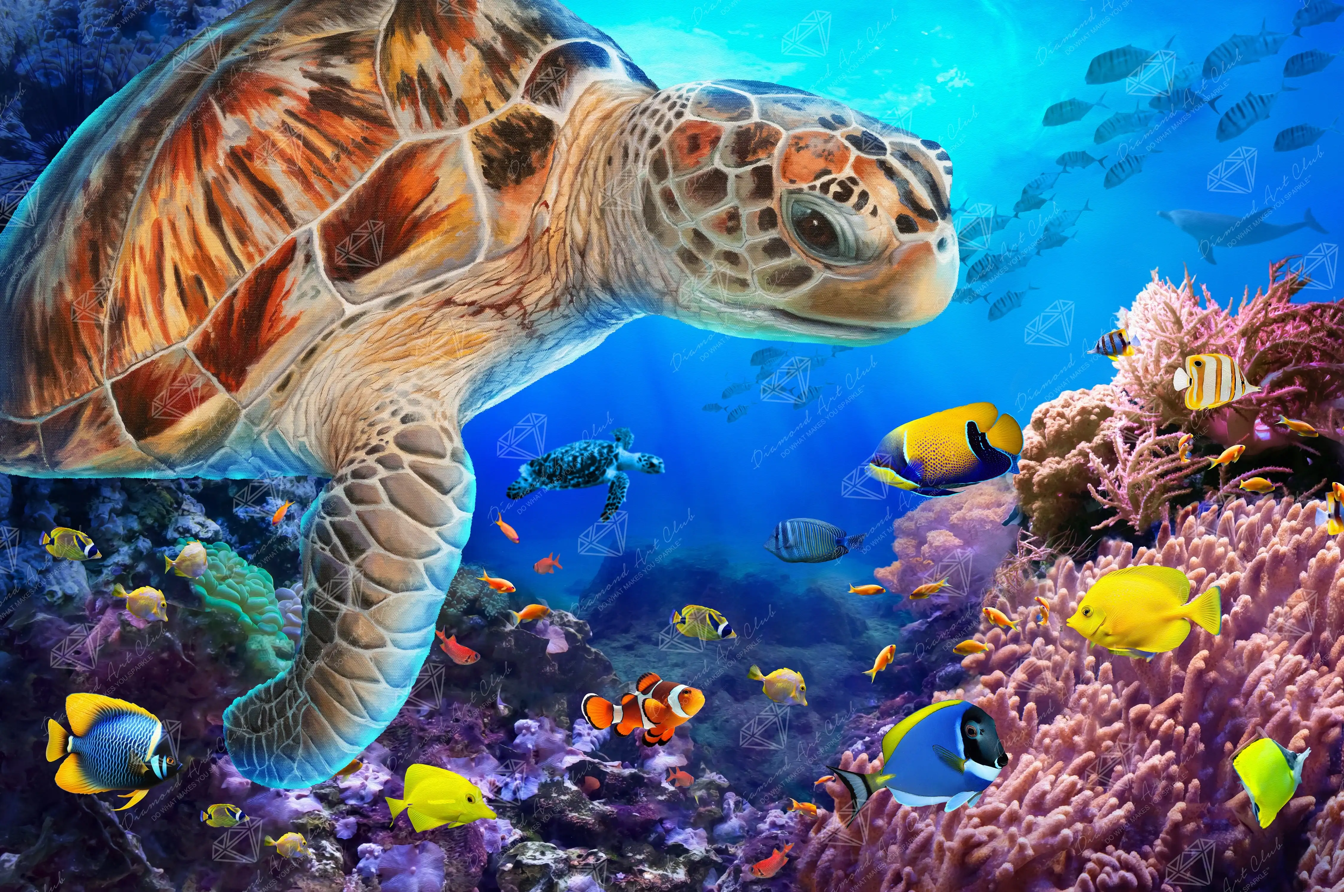 2782-sea-turtle-fantasy-1.webp