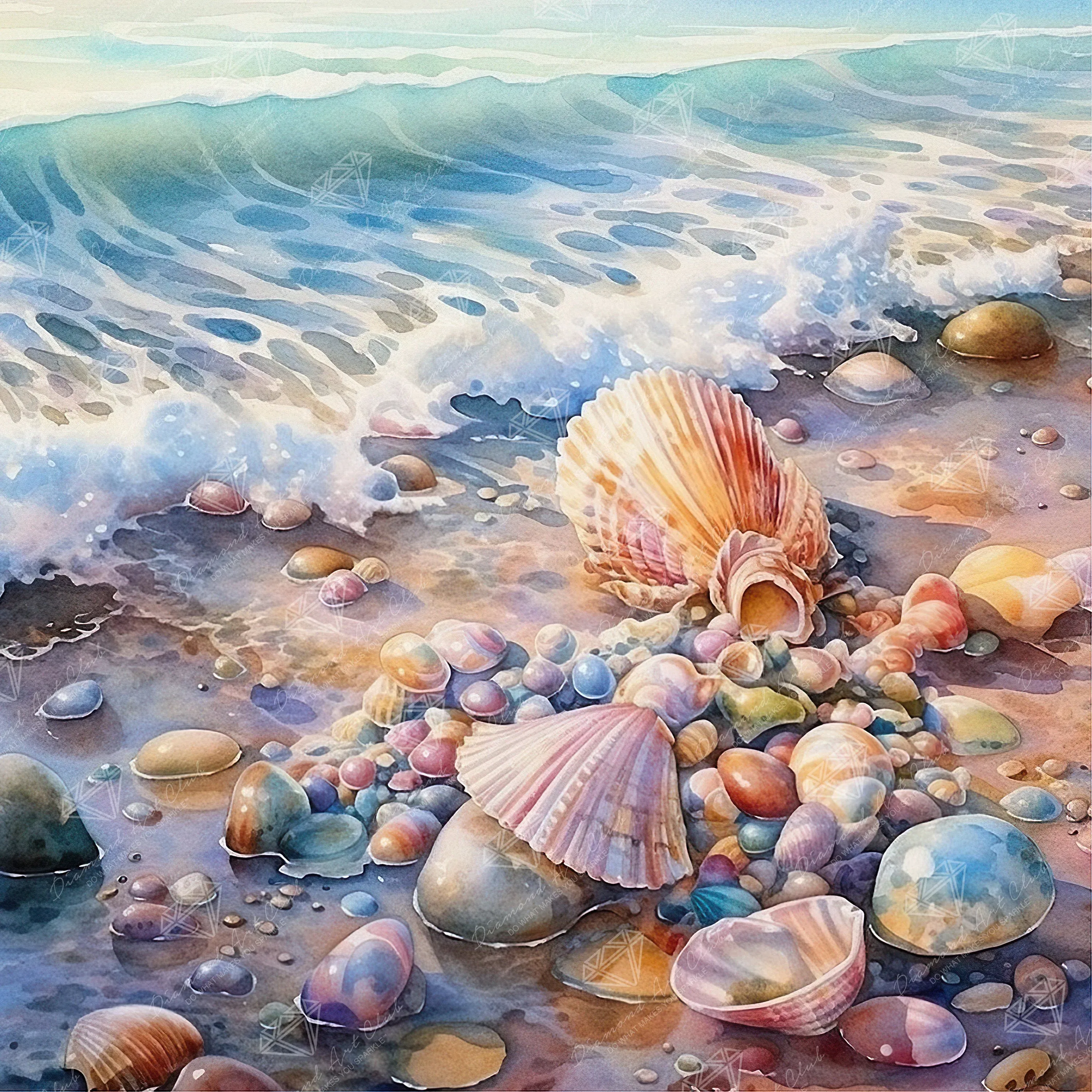 Seashells on the Beach