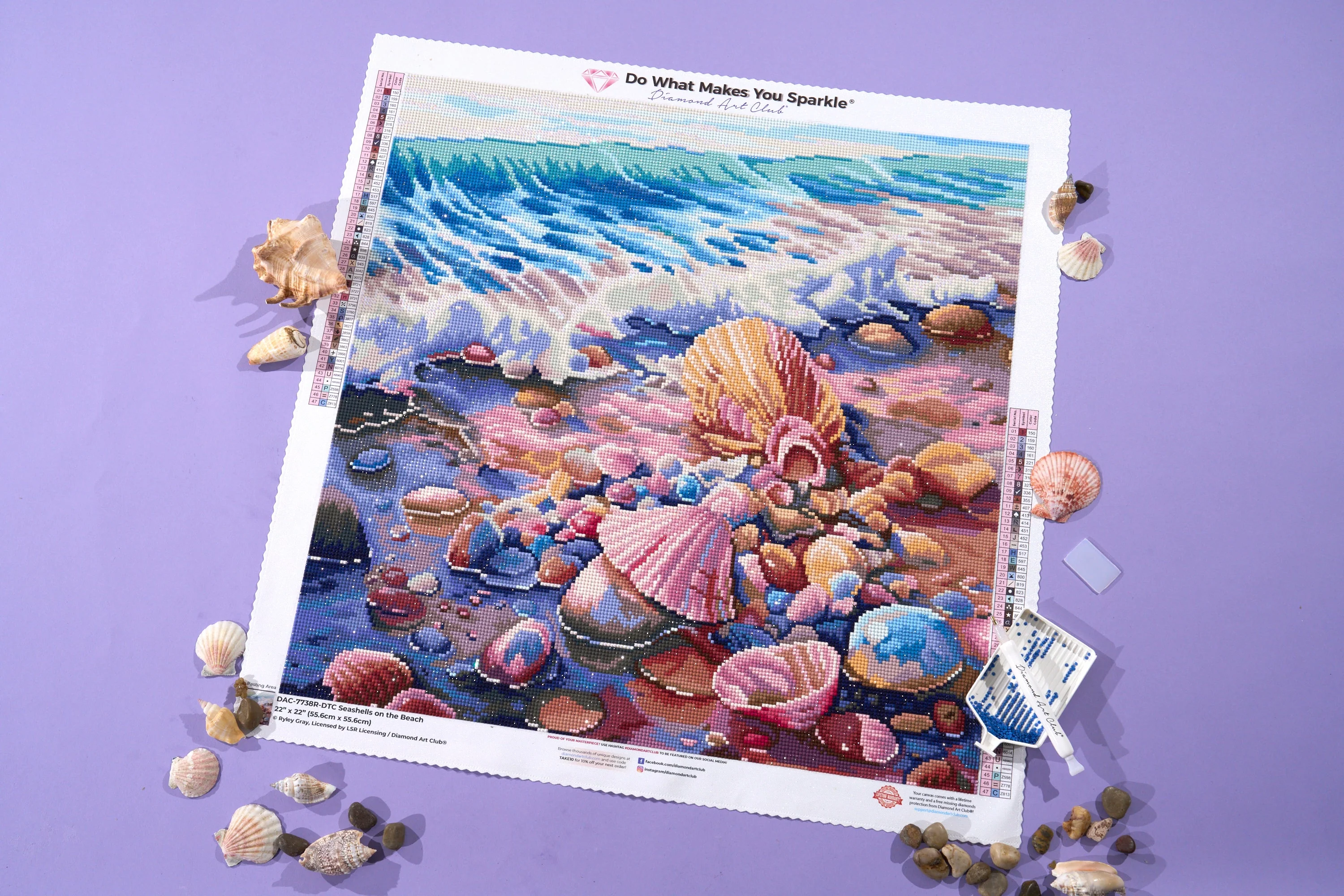 2785-seashells-on-the-beach-1.webp