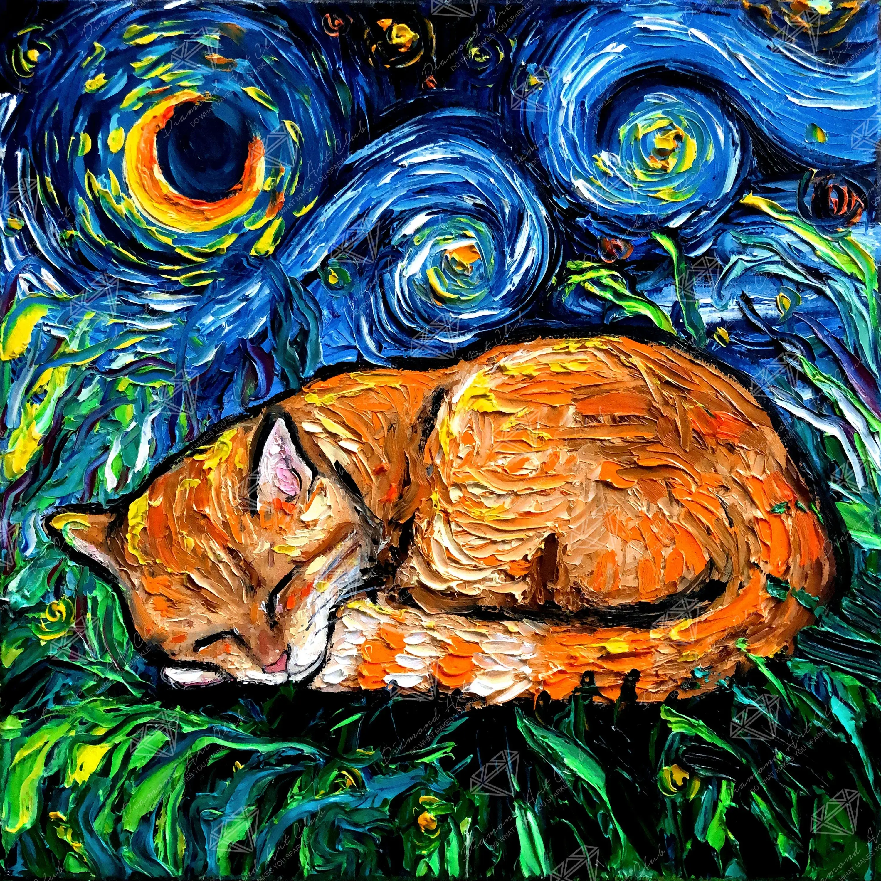 Sleepy Orange Tabby Night