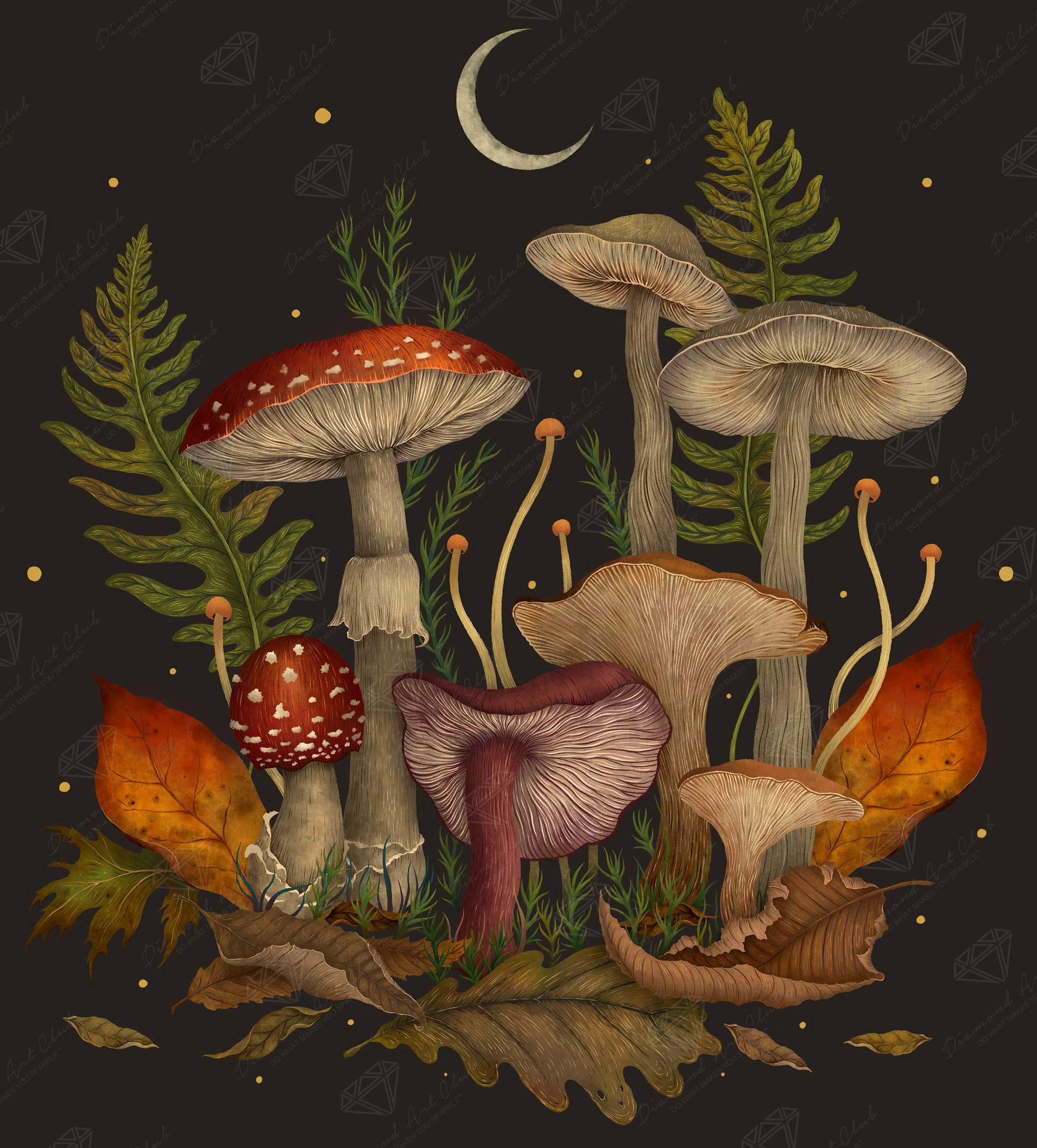 Autumn Mushrooms