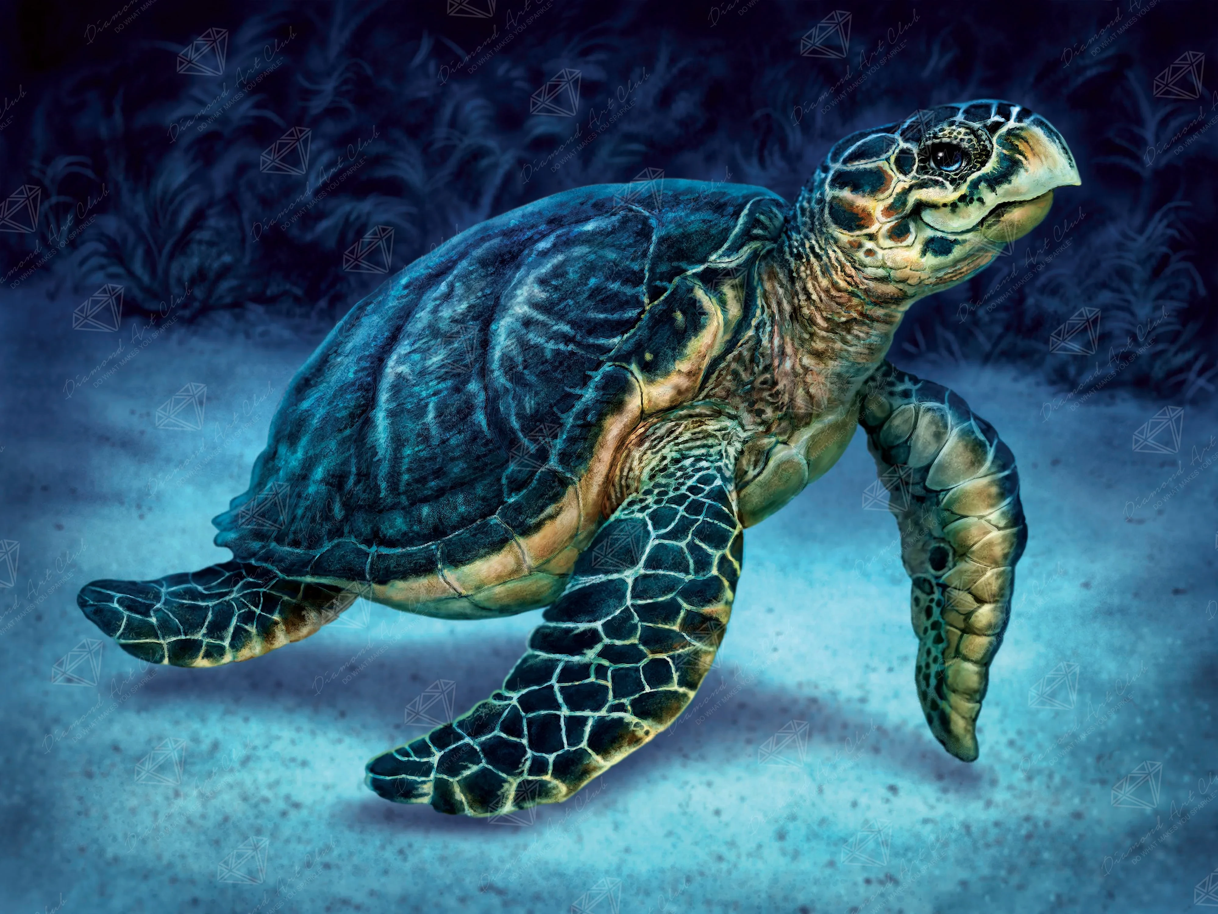 Smiling Sea Turtle