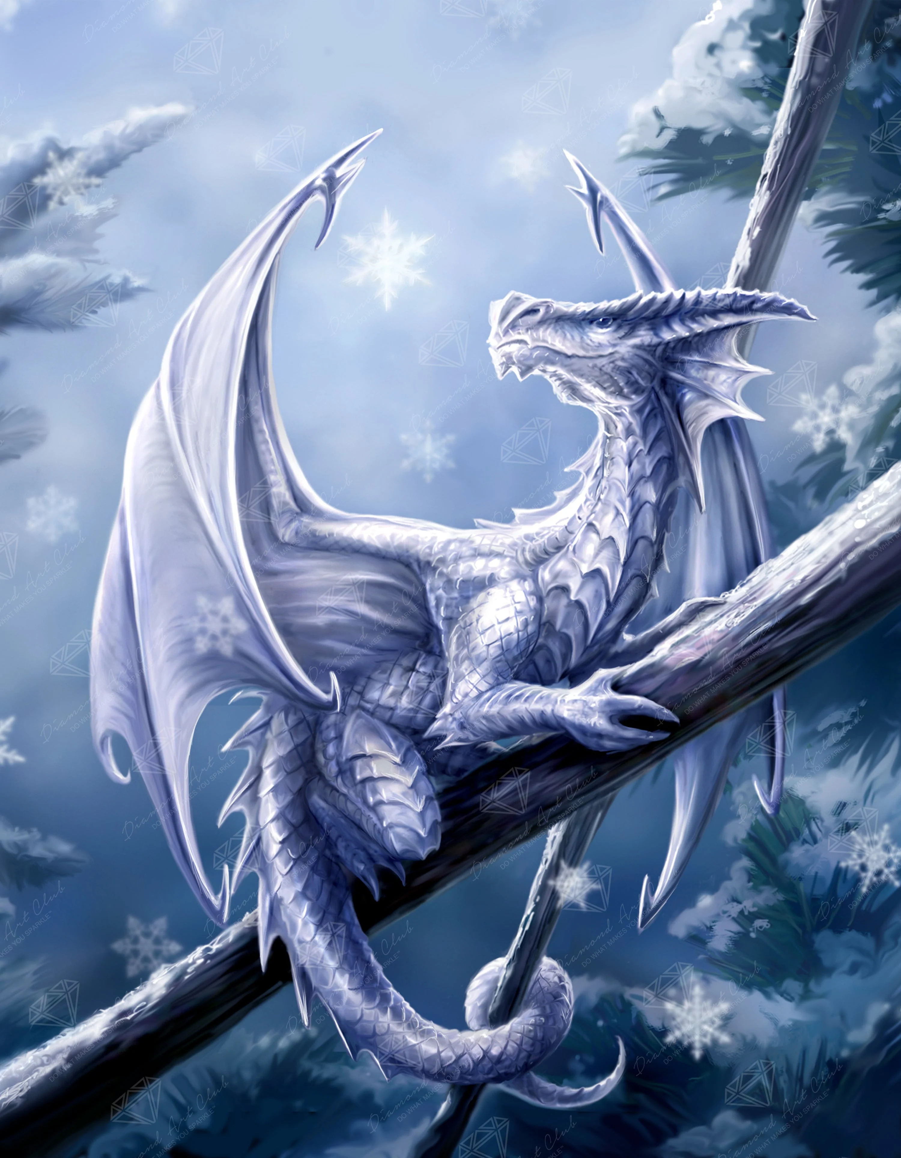 2879-snow-dragon-1.webp