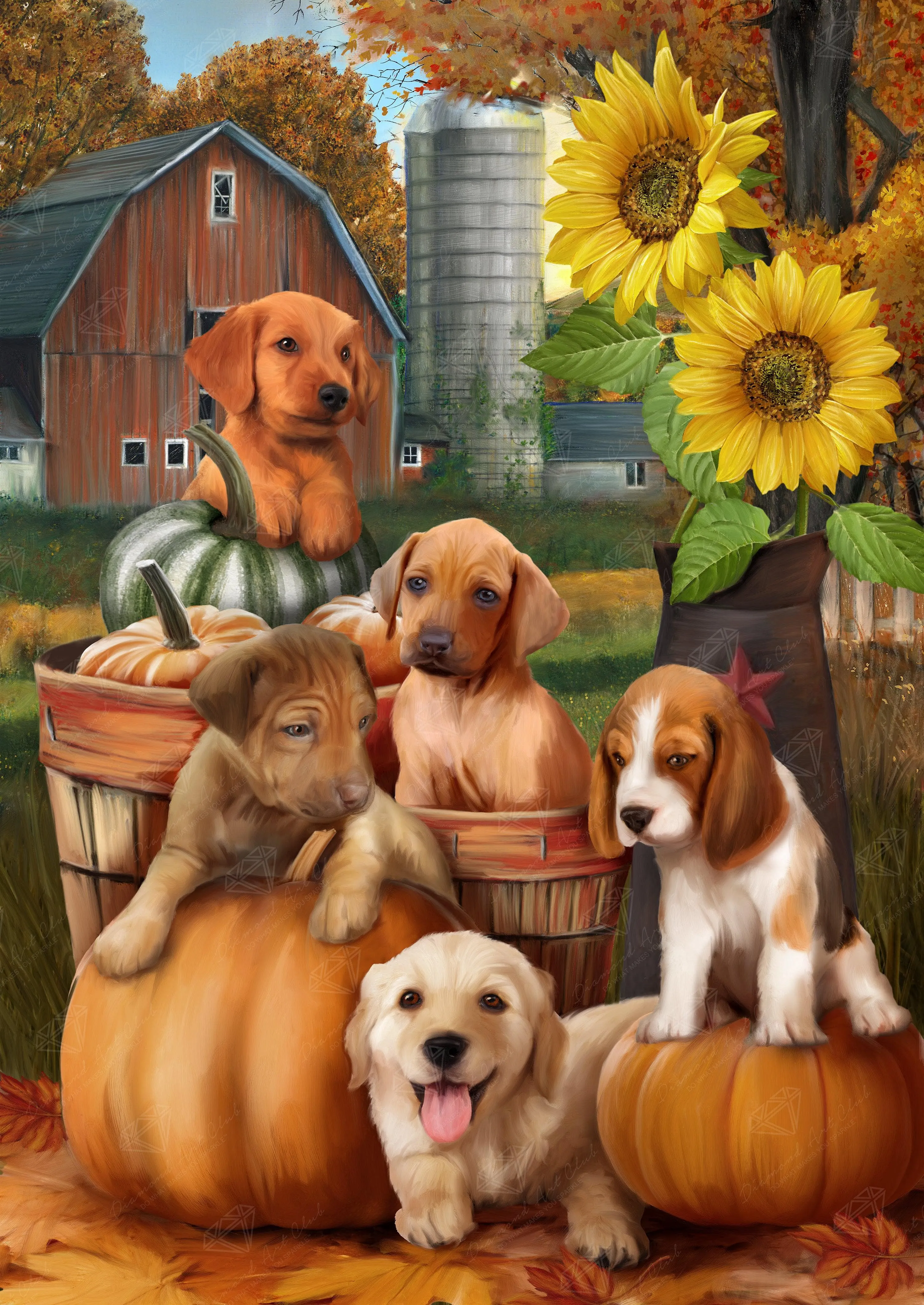 Autumn Puppies