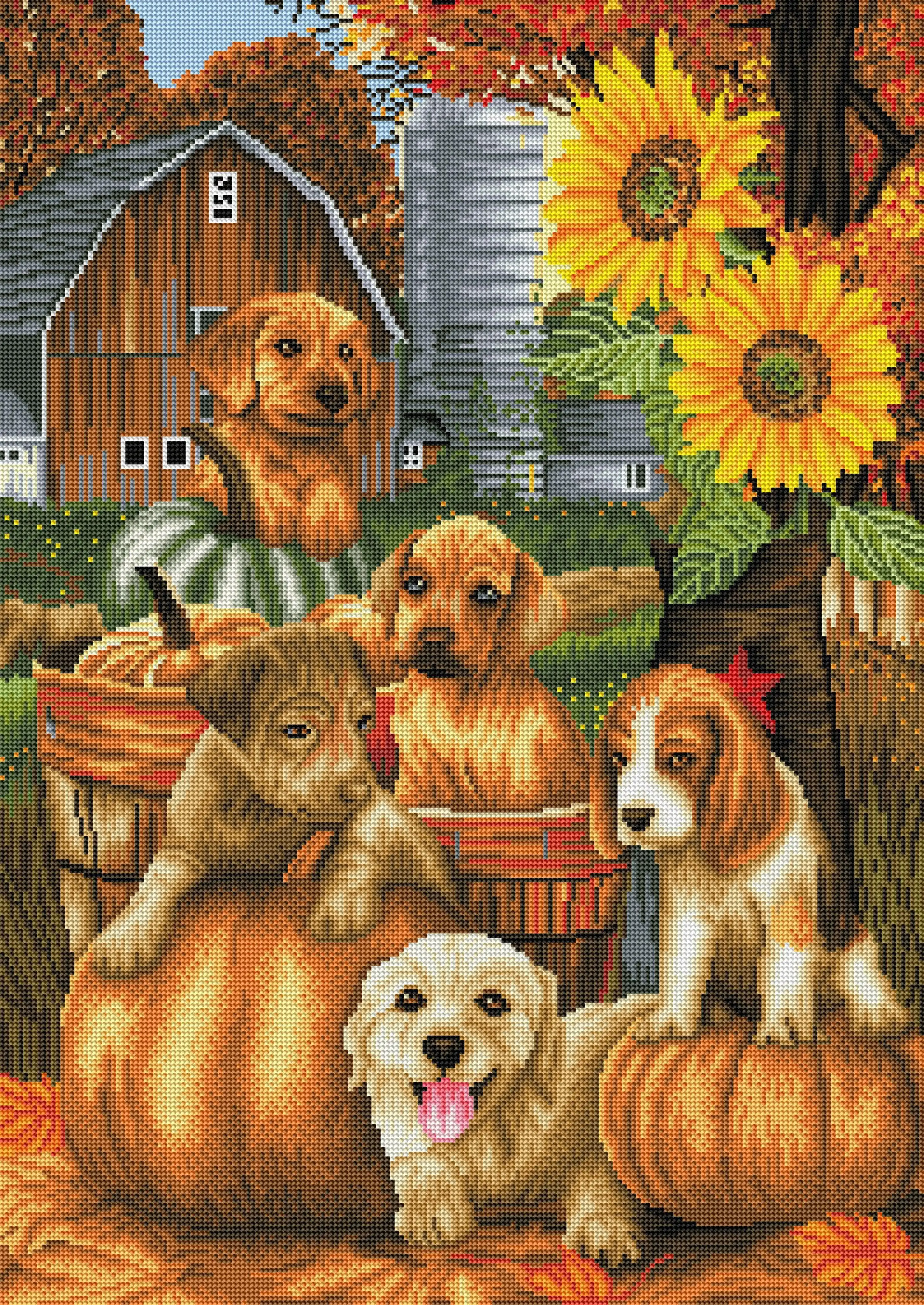 Autumn Puppies