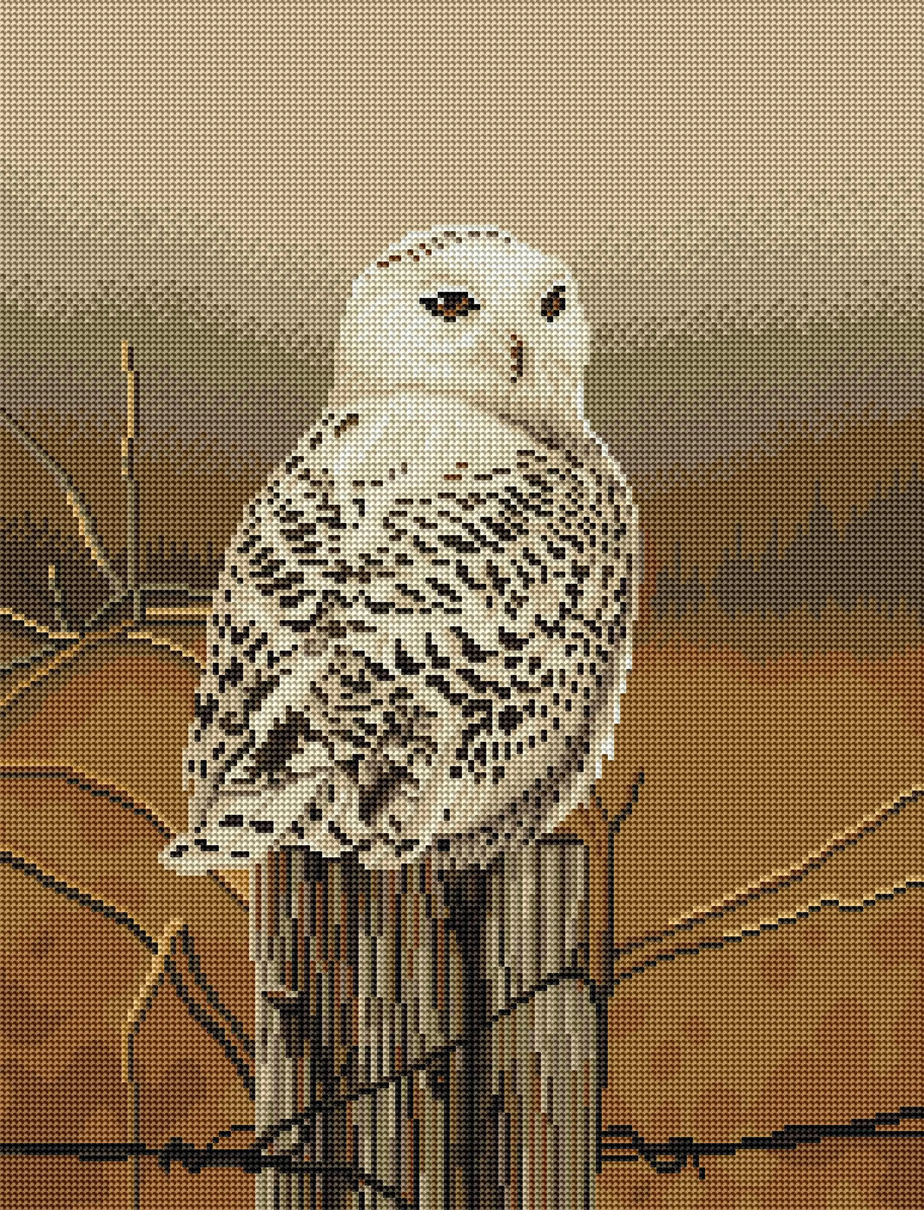 2897-snowy-owl-1.webp