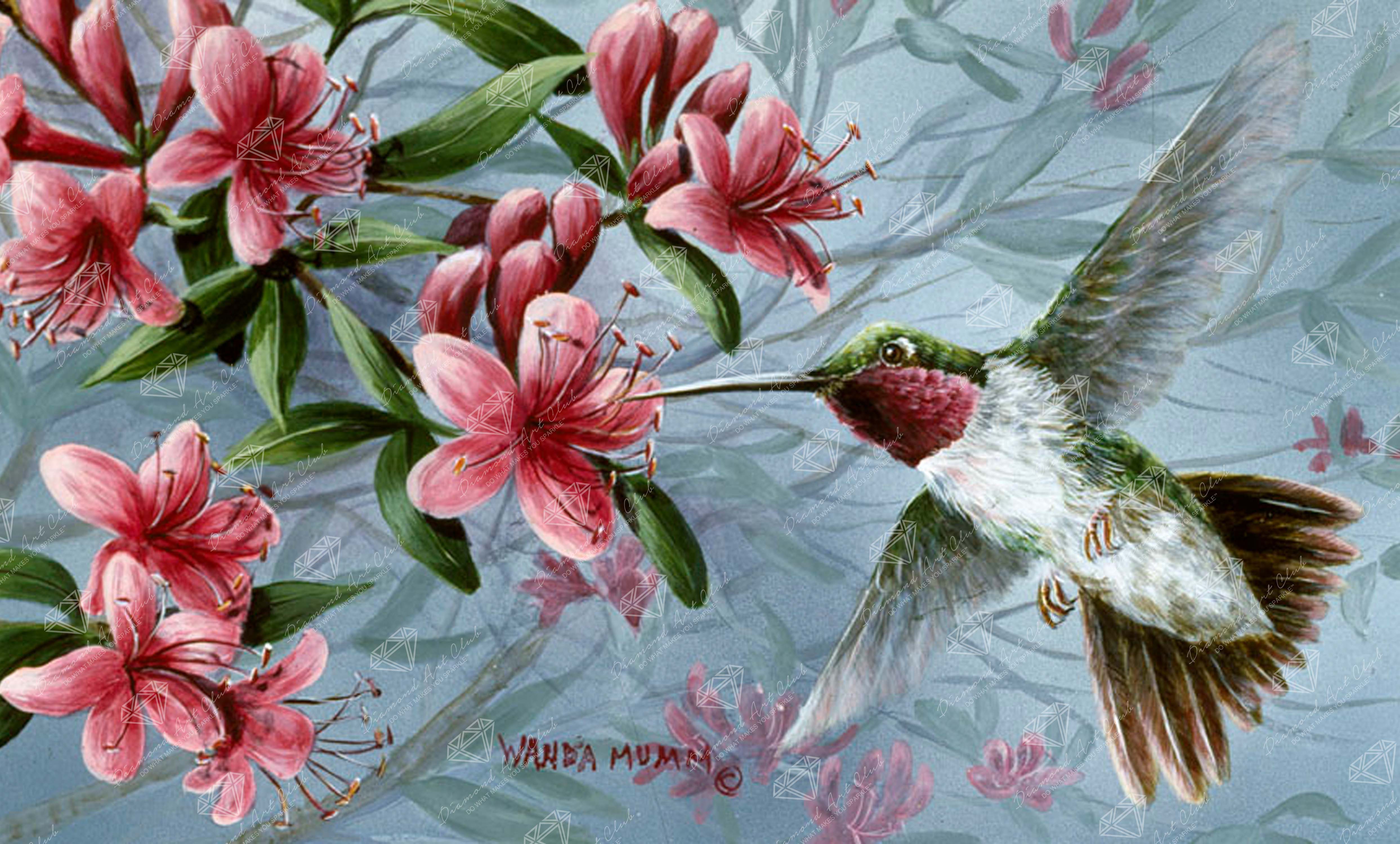 2918-songbird-a-season-of-song-hummingbird-1.jpg