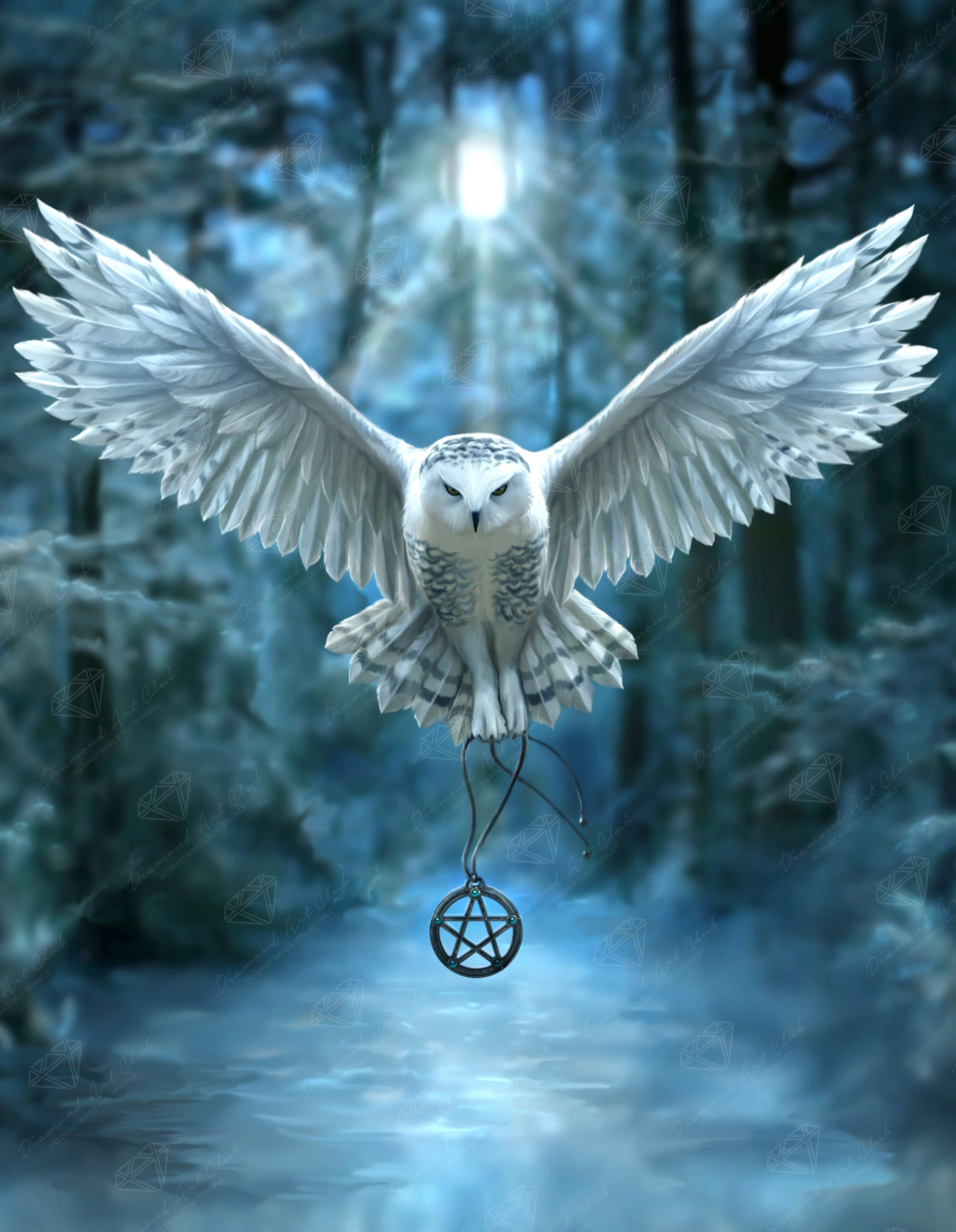 304-awake-your-magic-1.webp