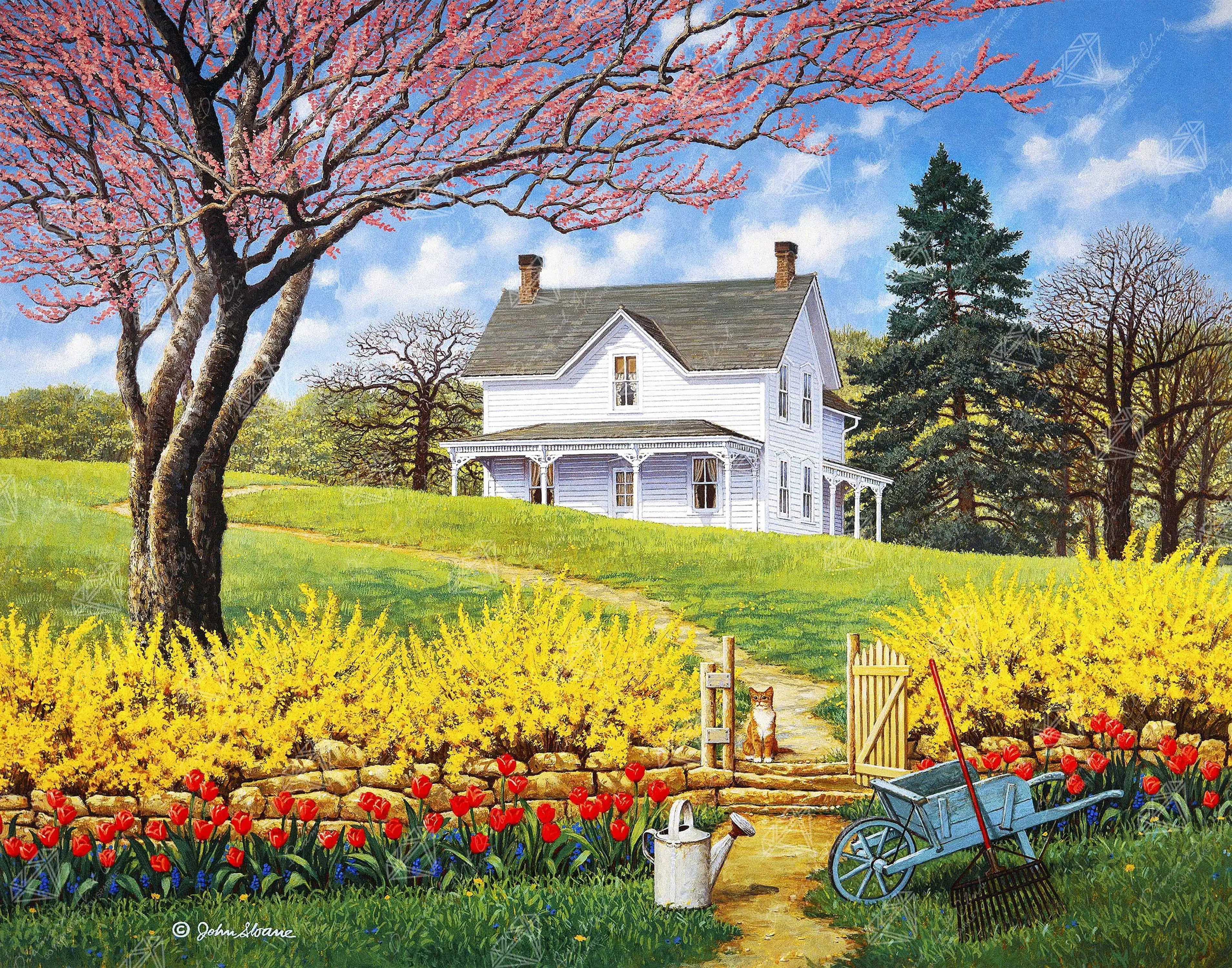 Spring Ahead