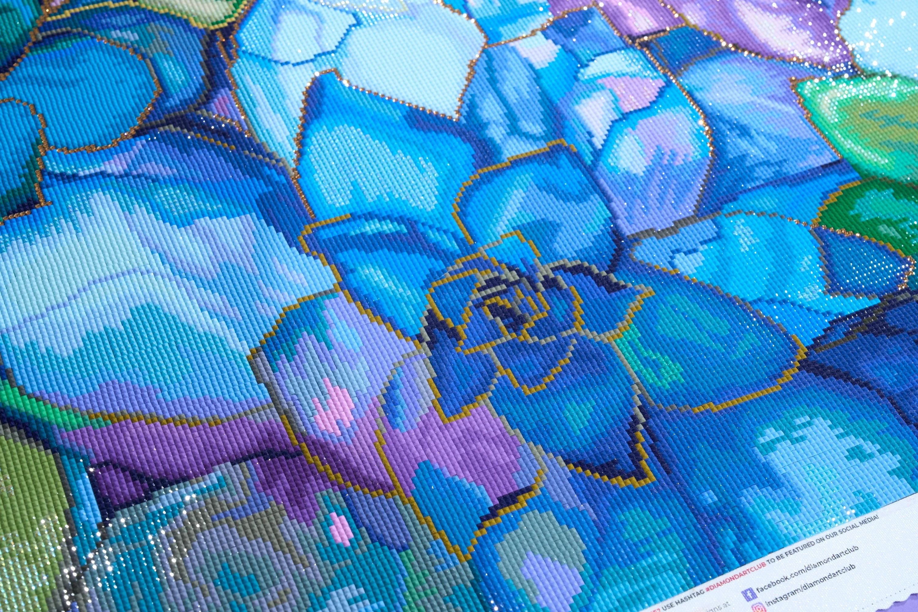 3165-succulents-1.webp
