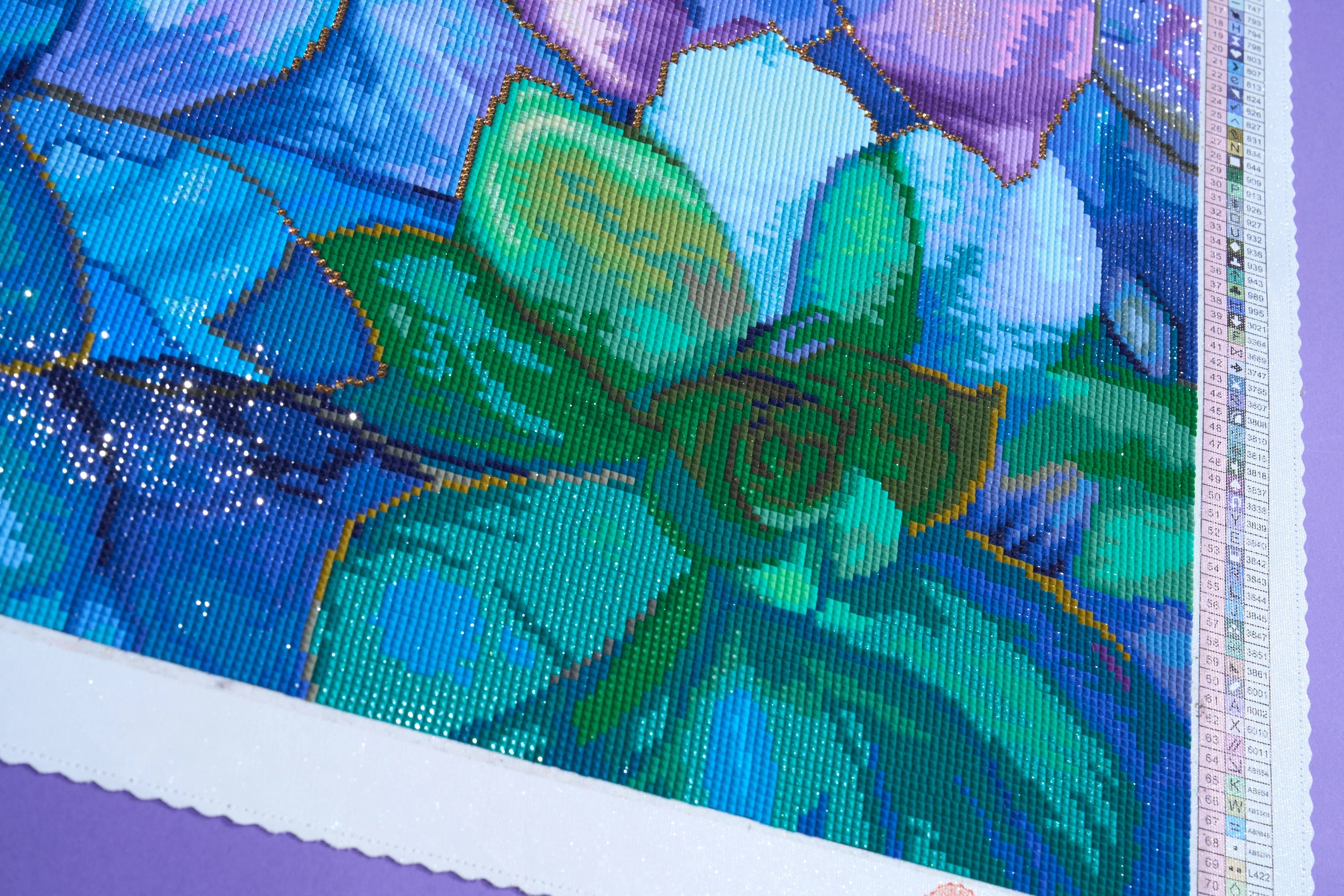 3165-succulents-1.webp