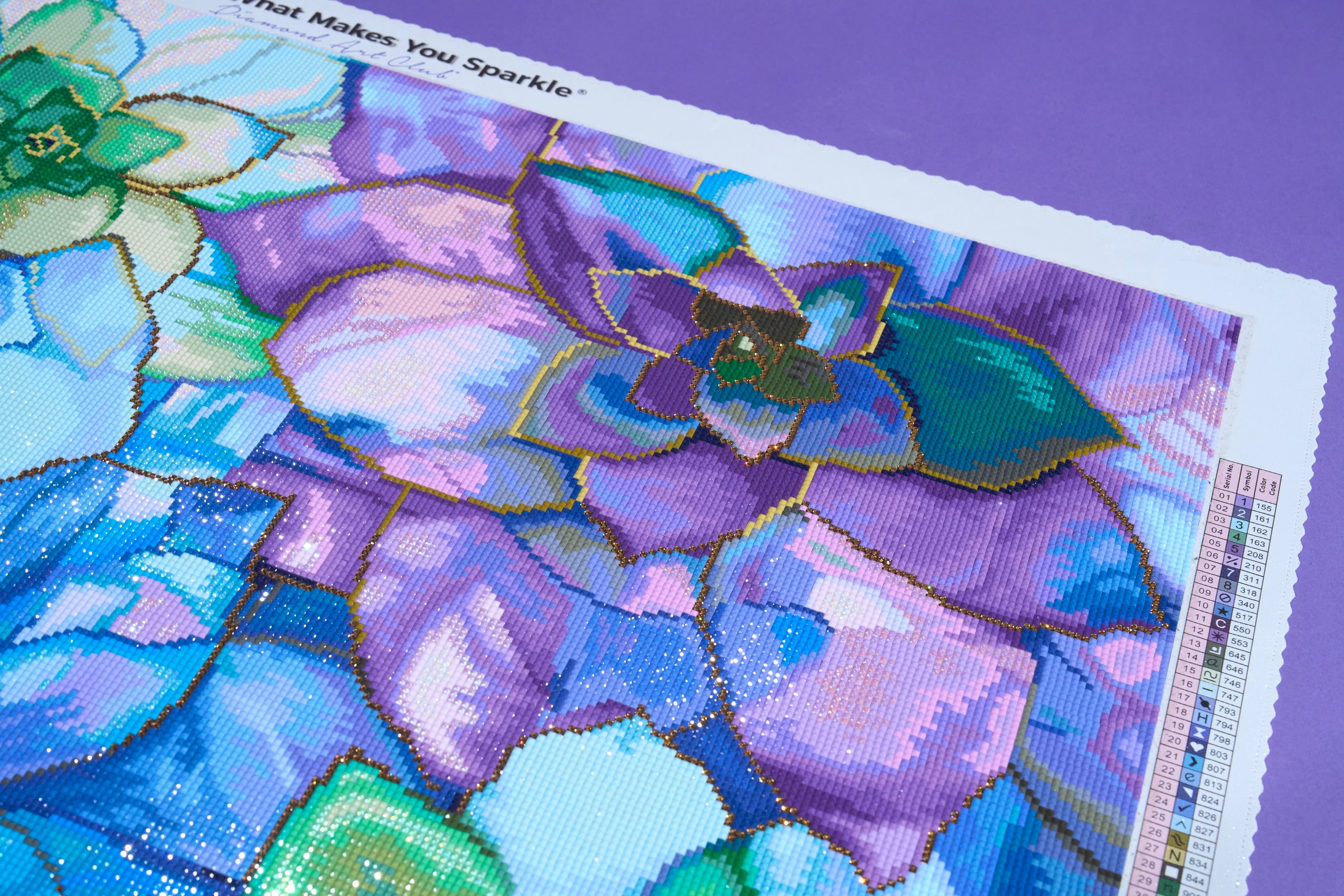 3165-succulents-1.webp