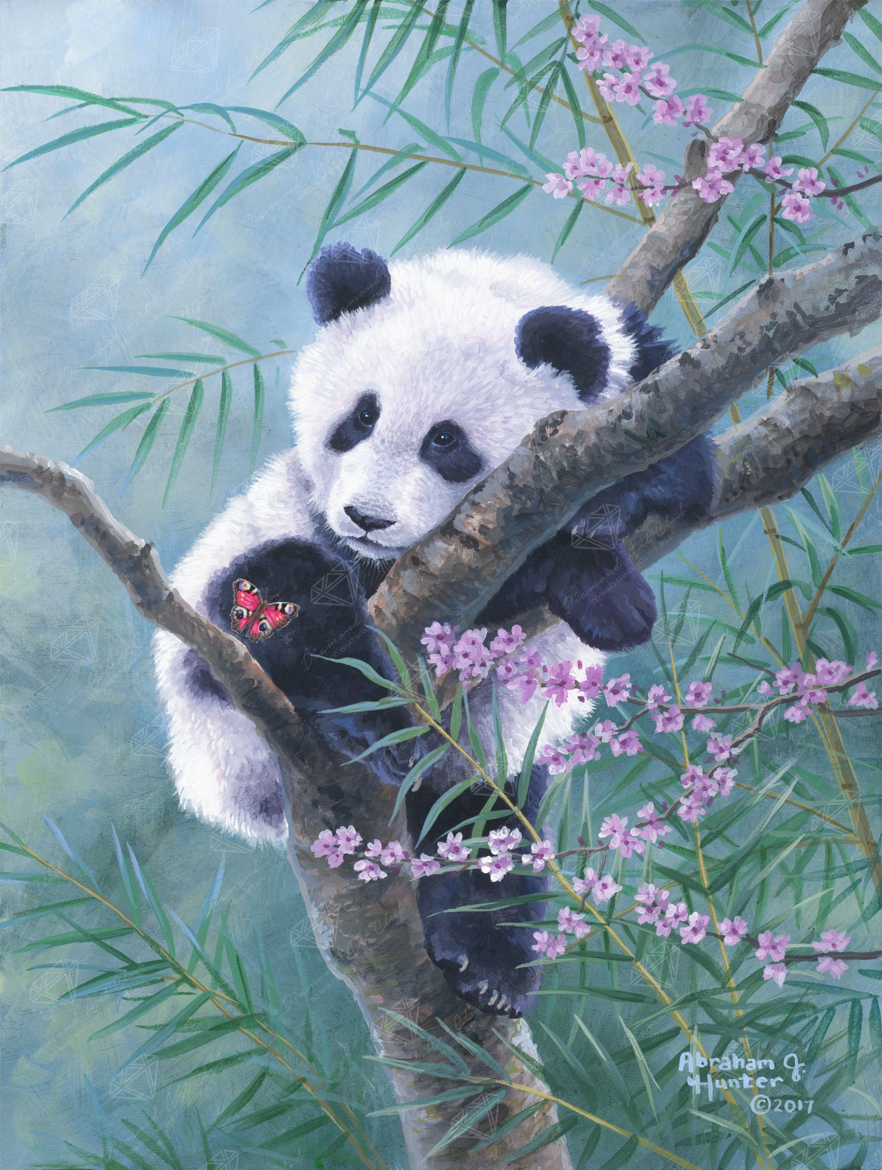 Bamboo Dreams