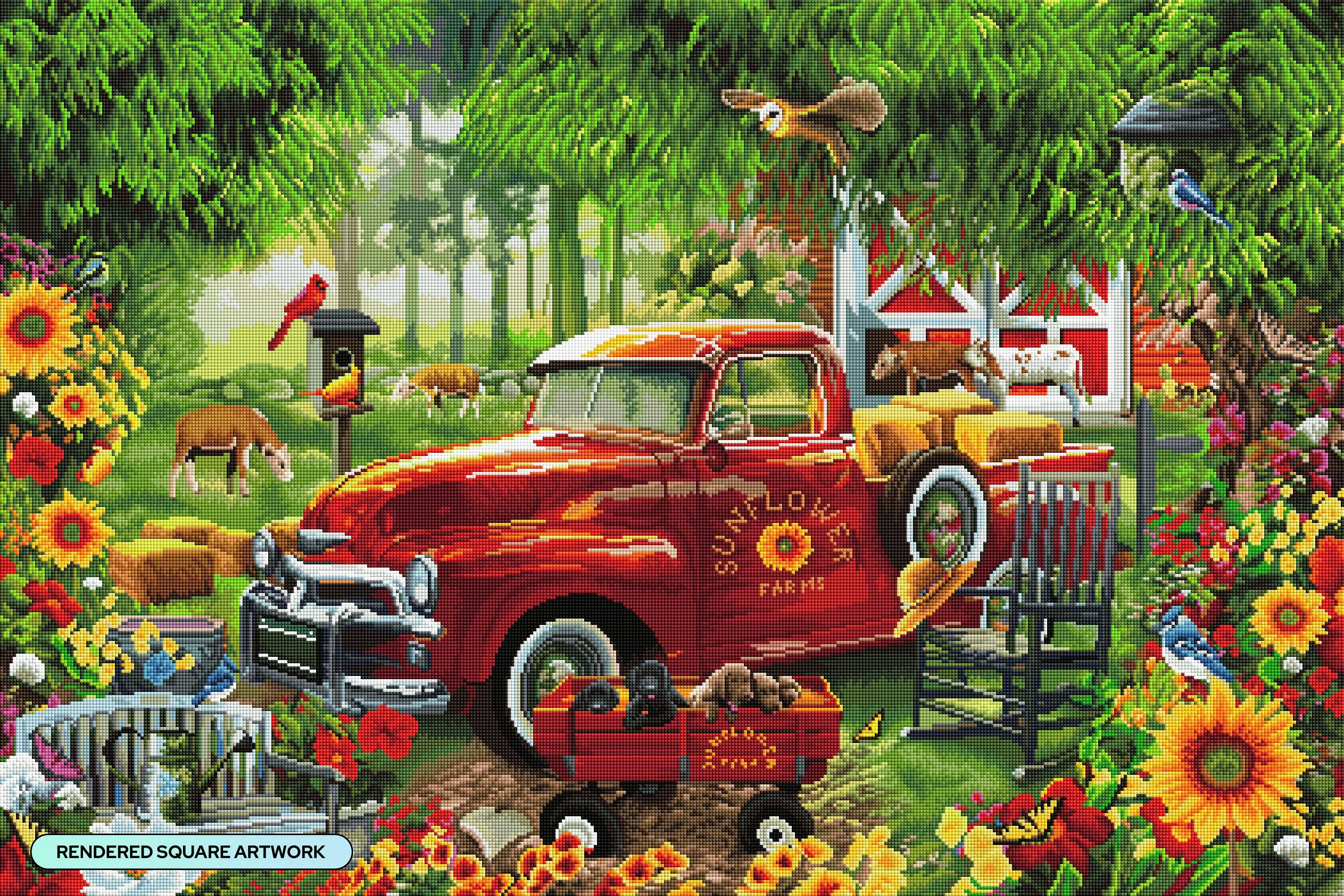 Sunflower Farms