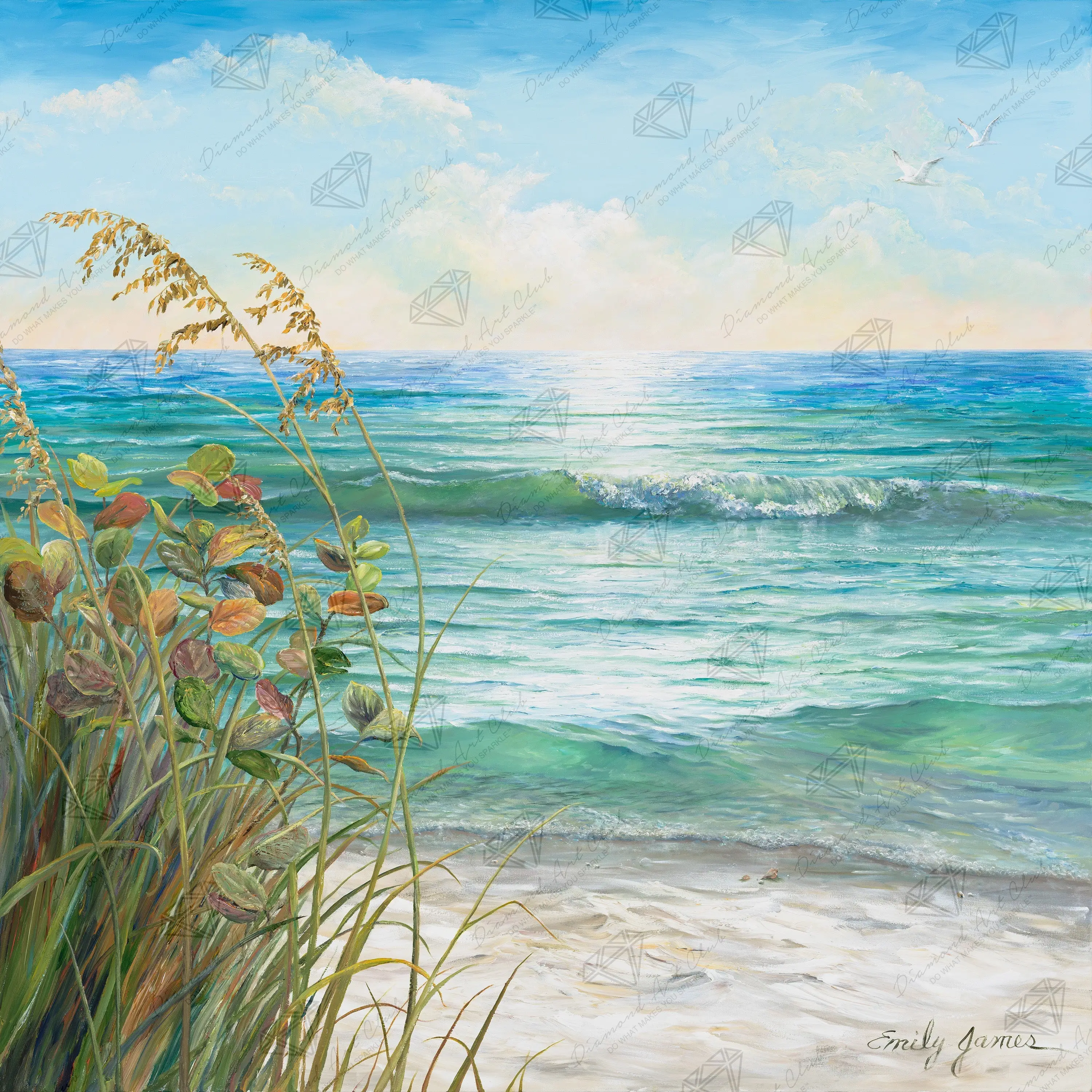 Barefoot Beach