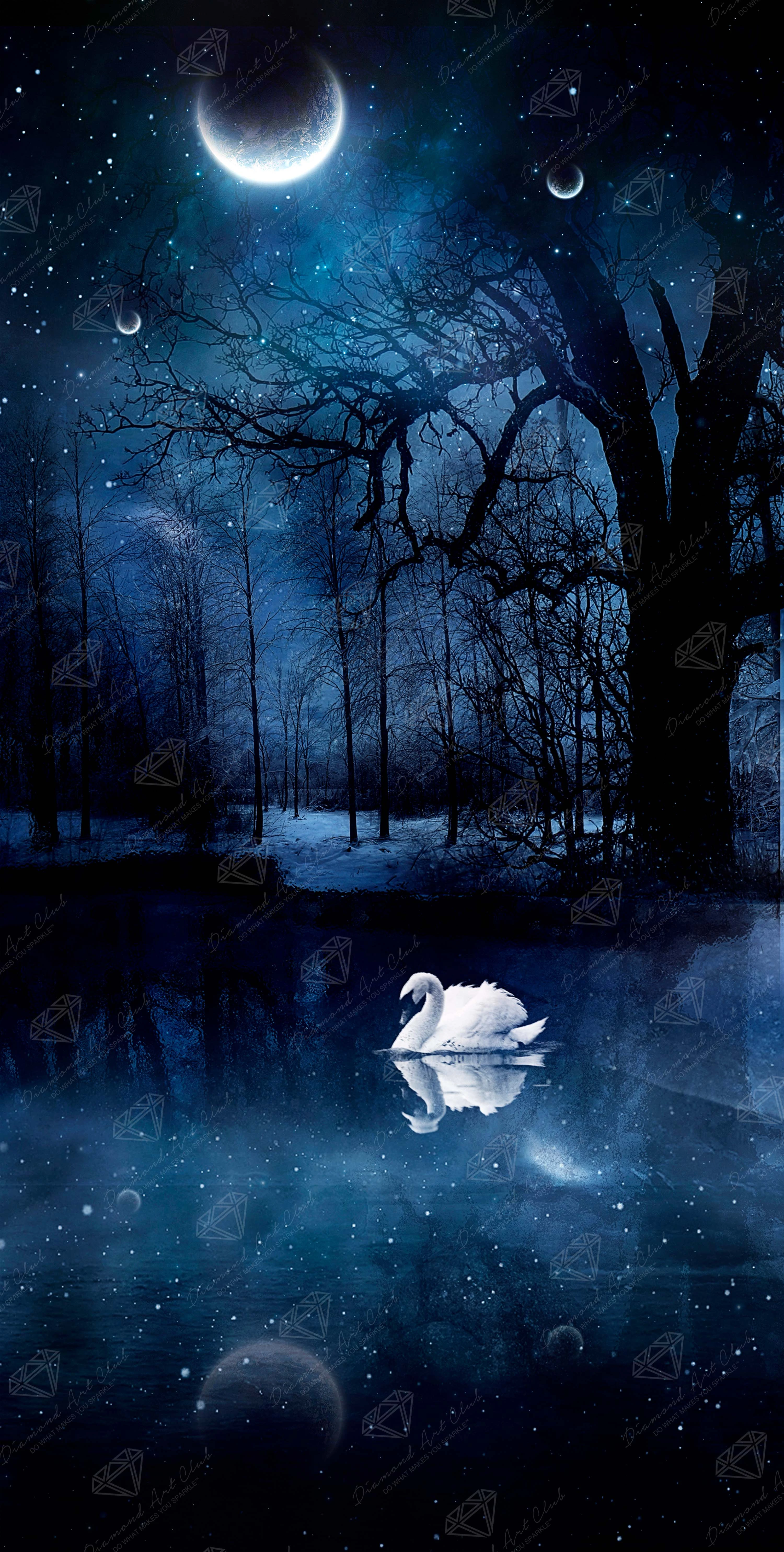 3223-swan-lake-3.webp