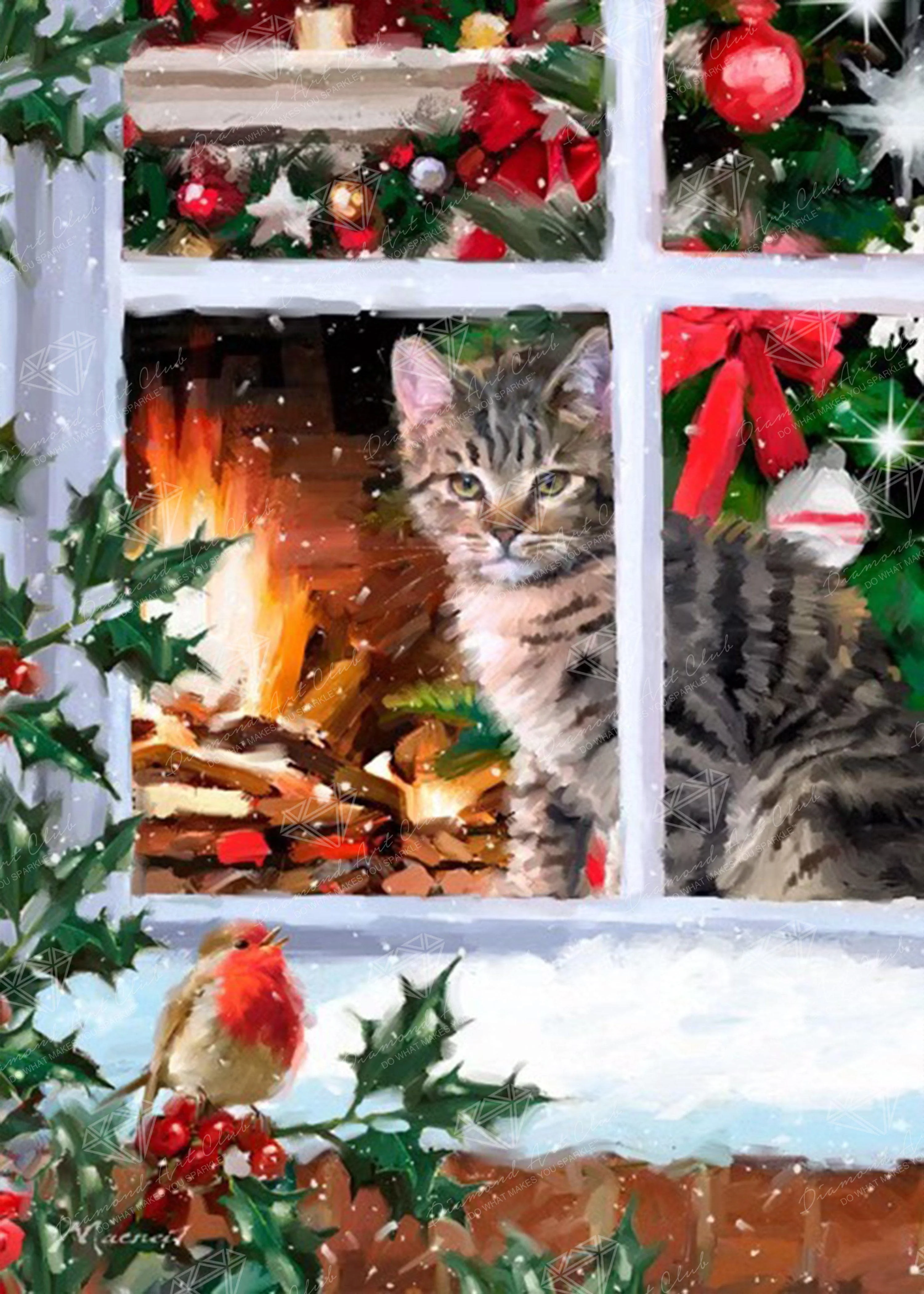 Tabby Cat