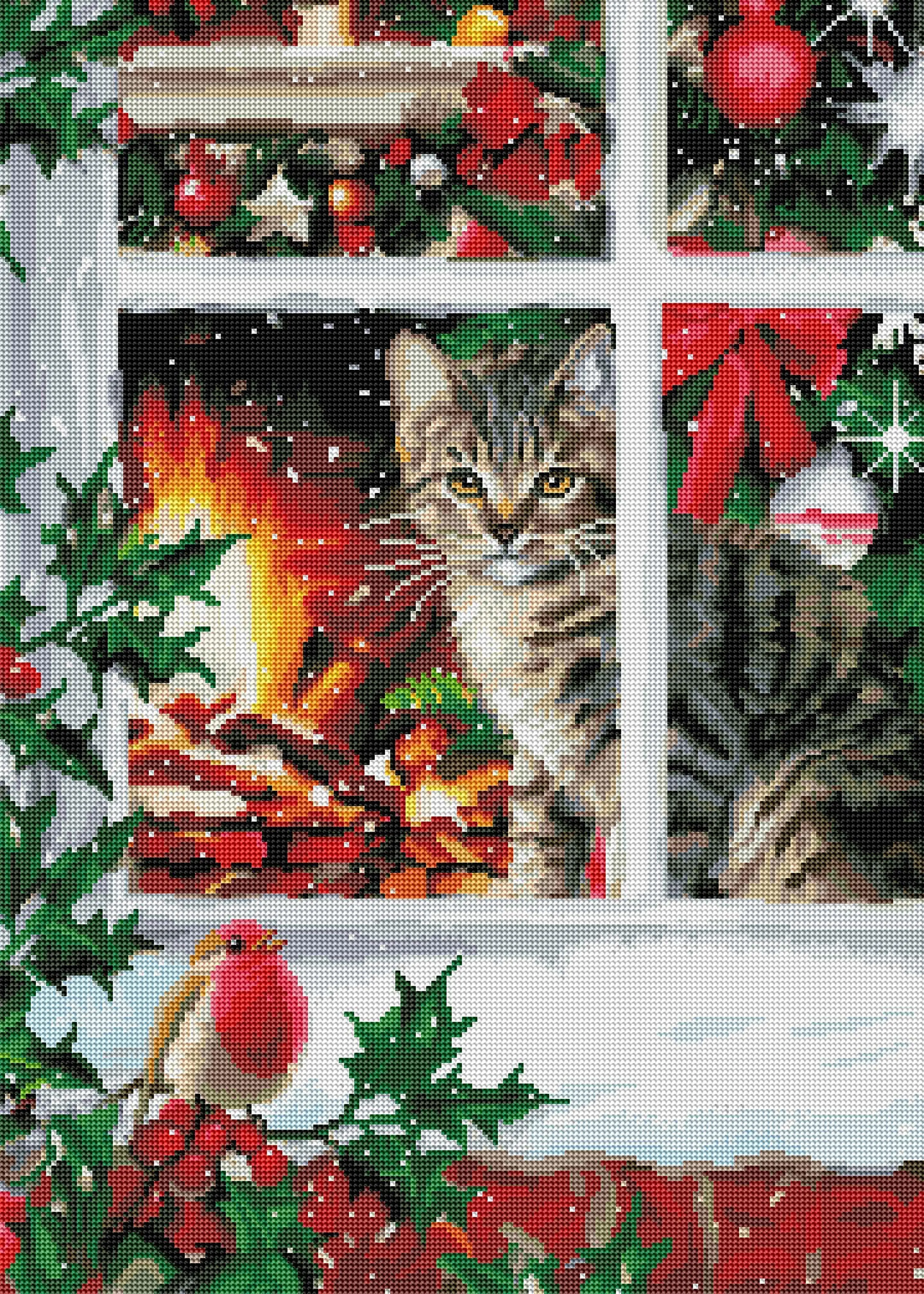 Tabby Cat