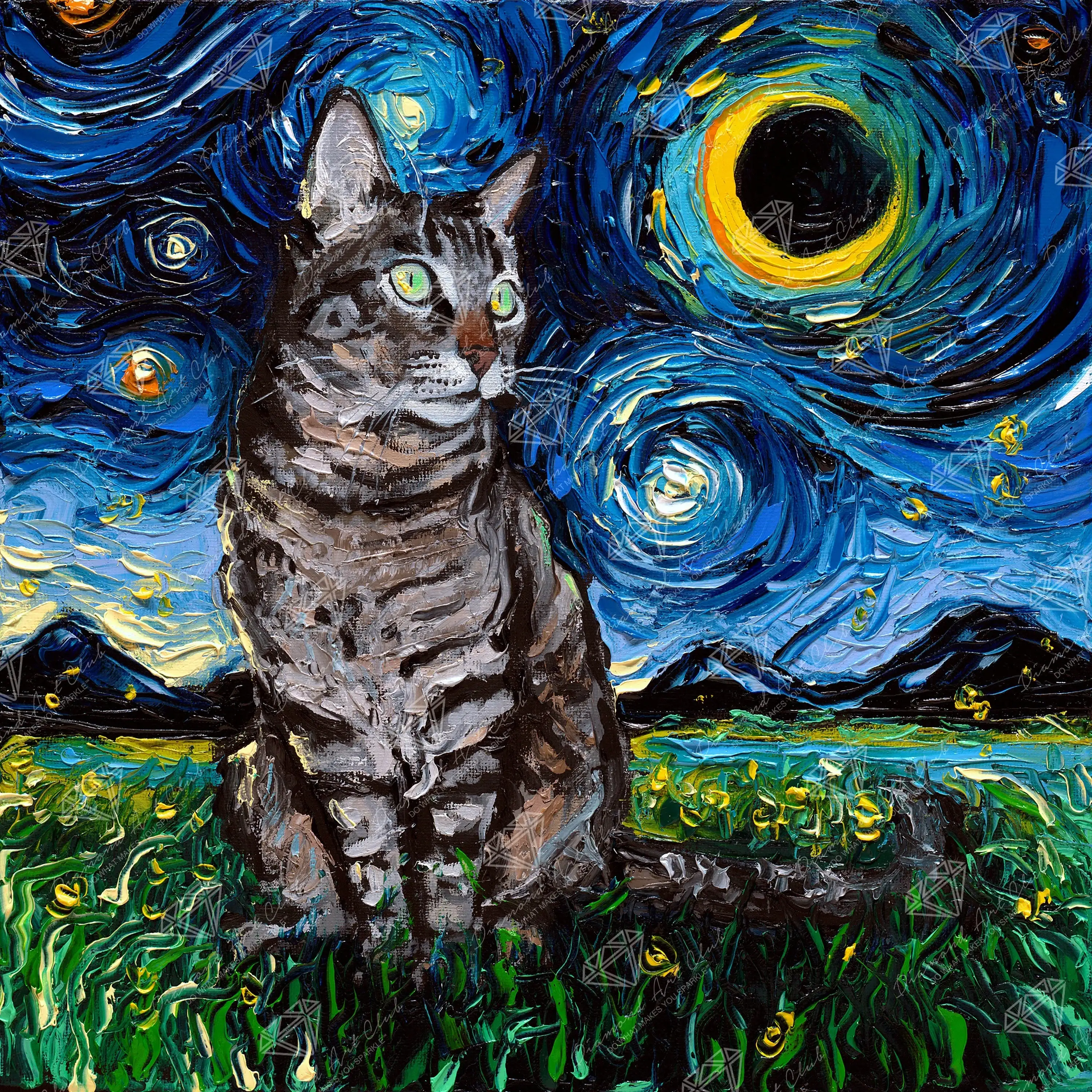 Tabby Night
