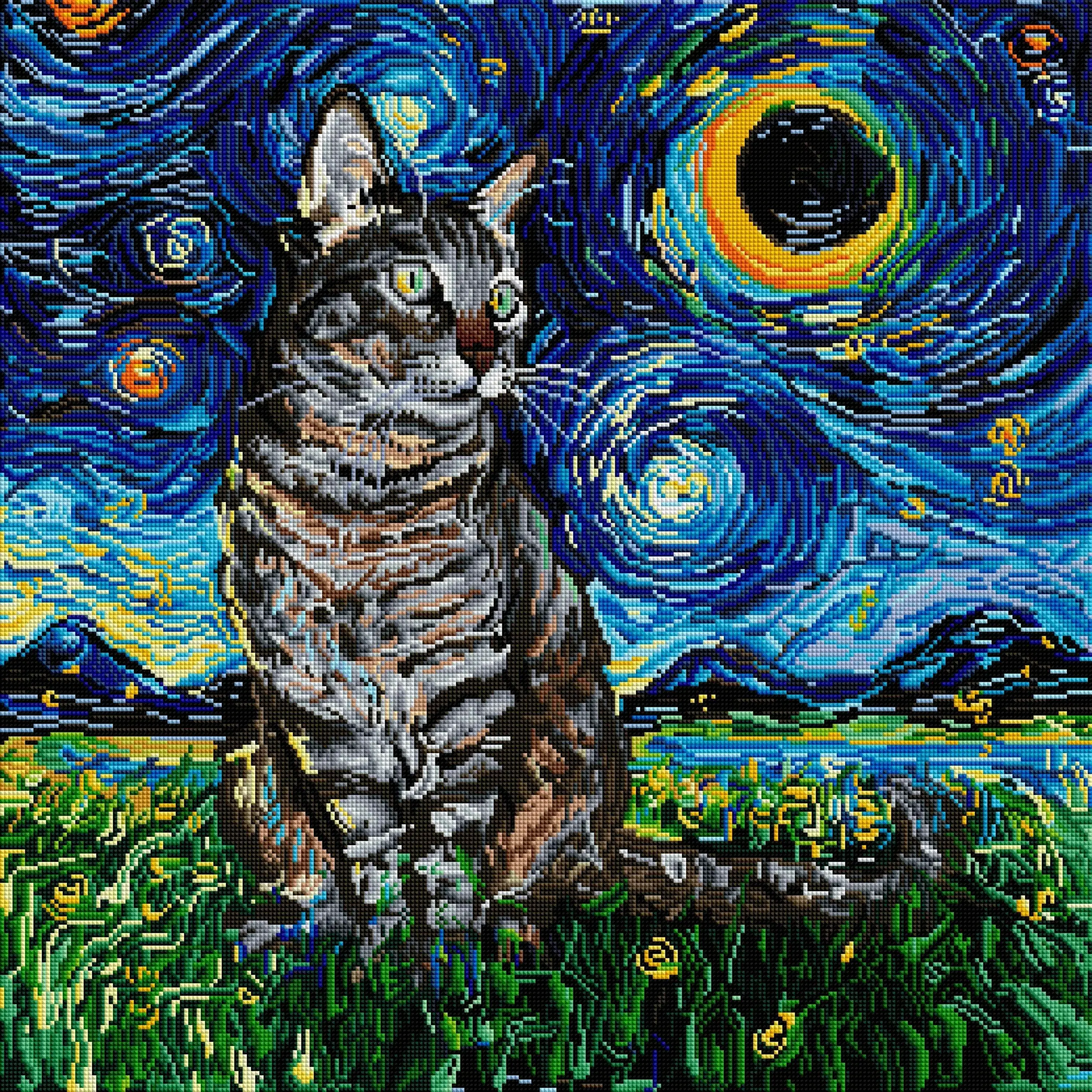 Tabby Night
