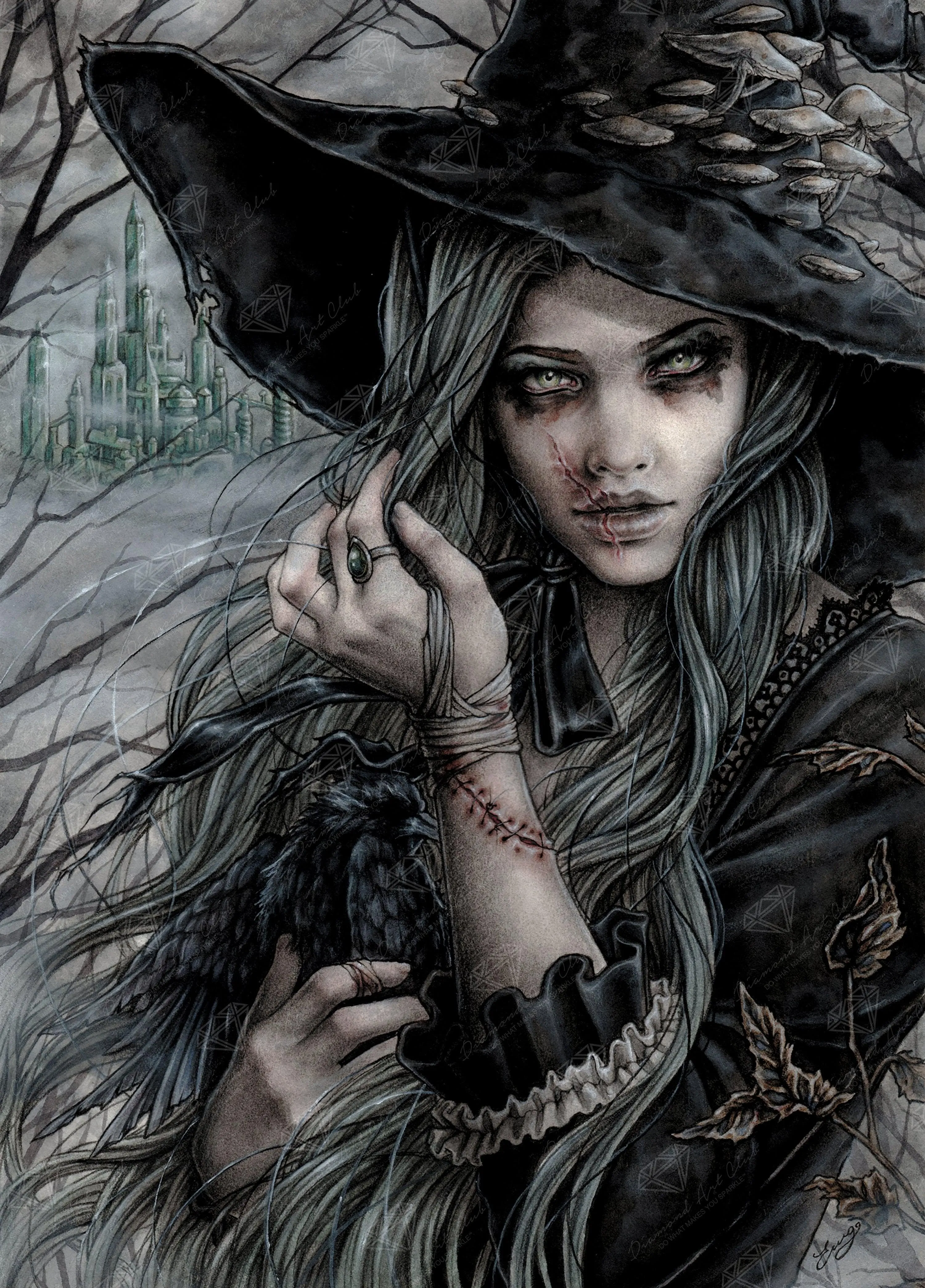 3439-the-wicked-witch-1.webp